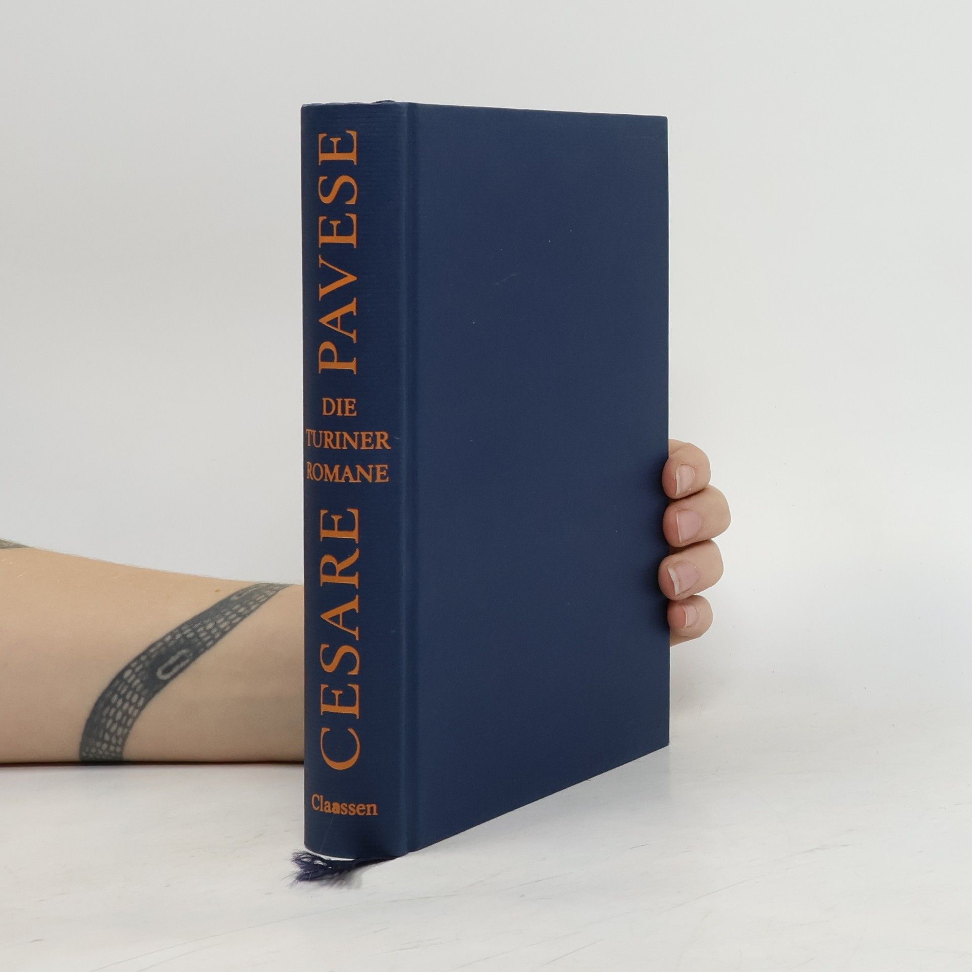 Cesare Pavese Die Turiner Romane