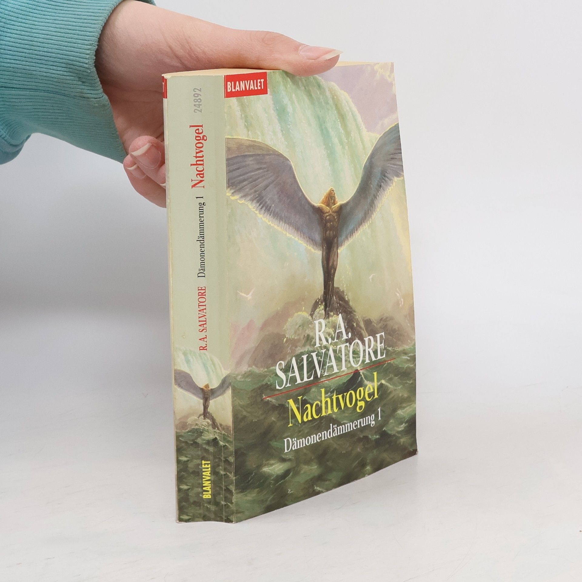 R. A. Salvatore Dämonendämmerung 1. Nachtvogel