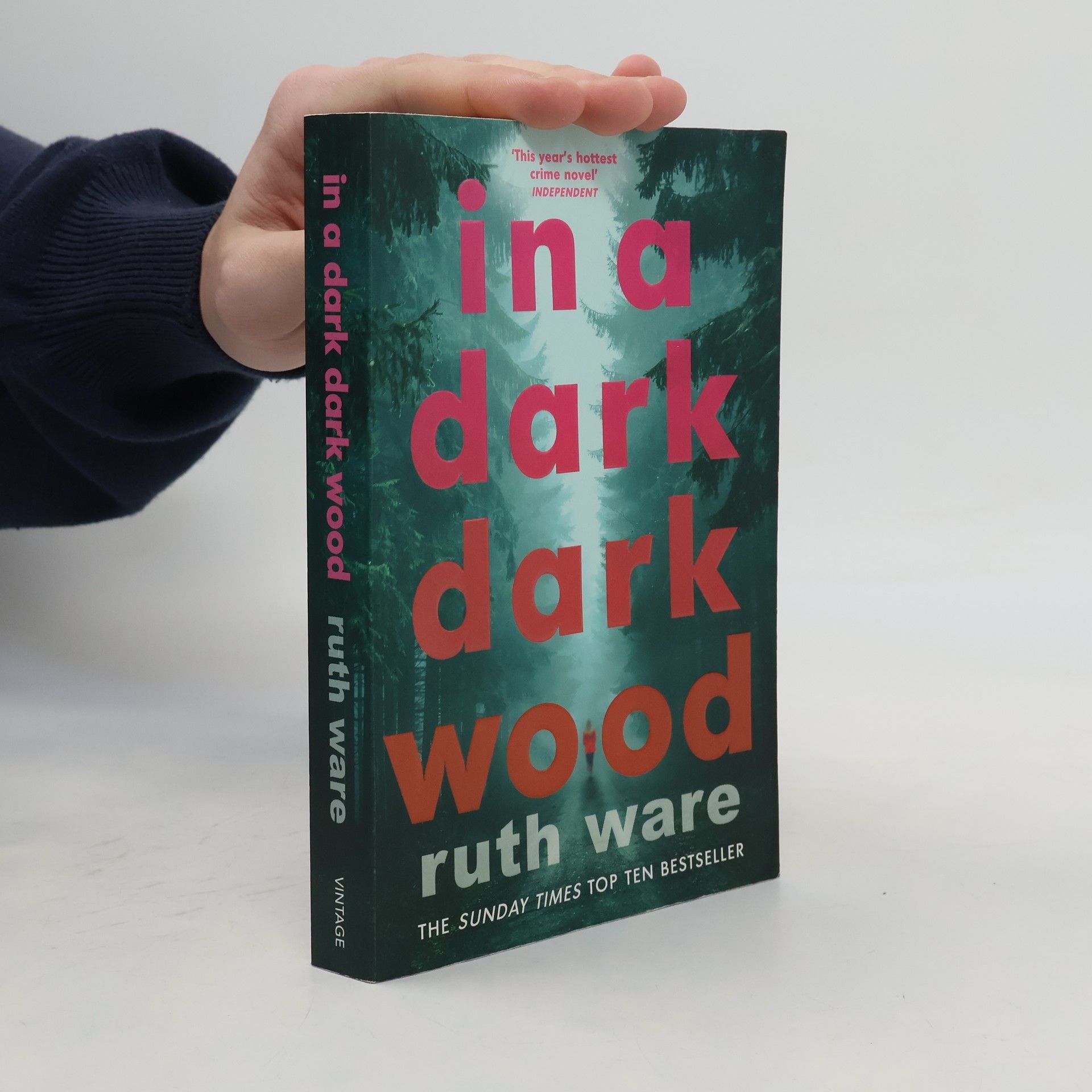 Ruth Ware In a dark, dark wood