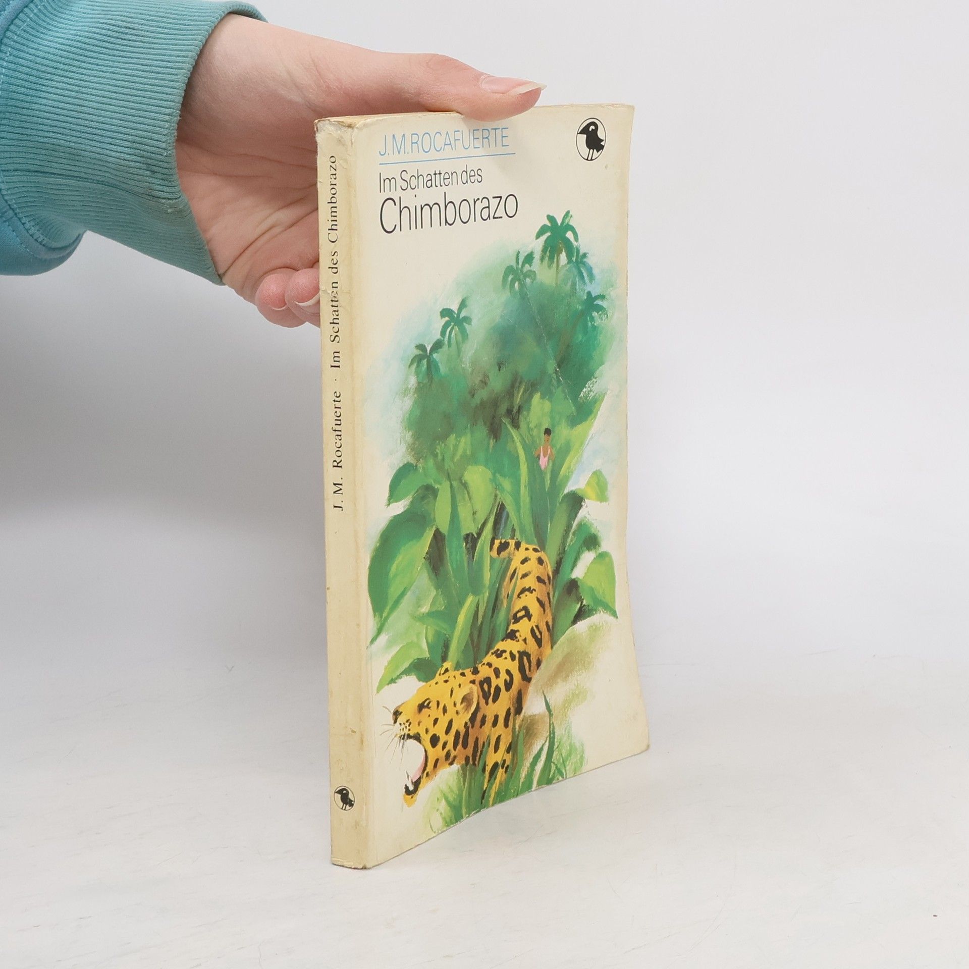 Im Schatten des Chimborazo