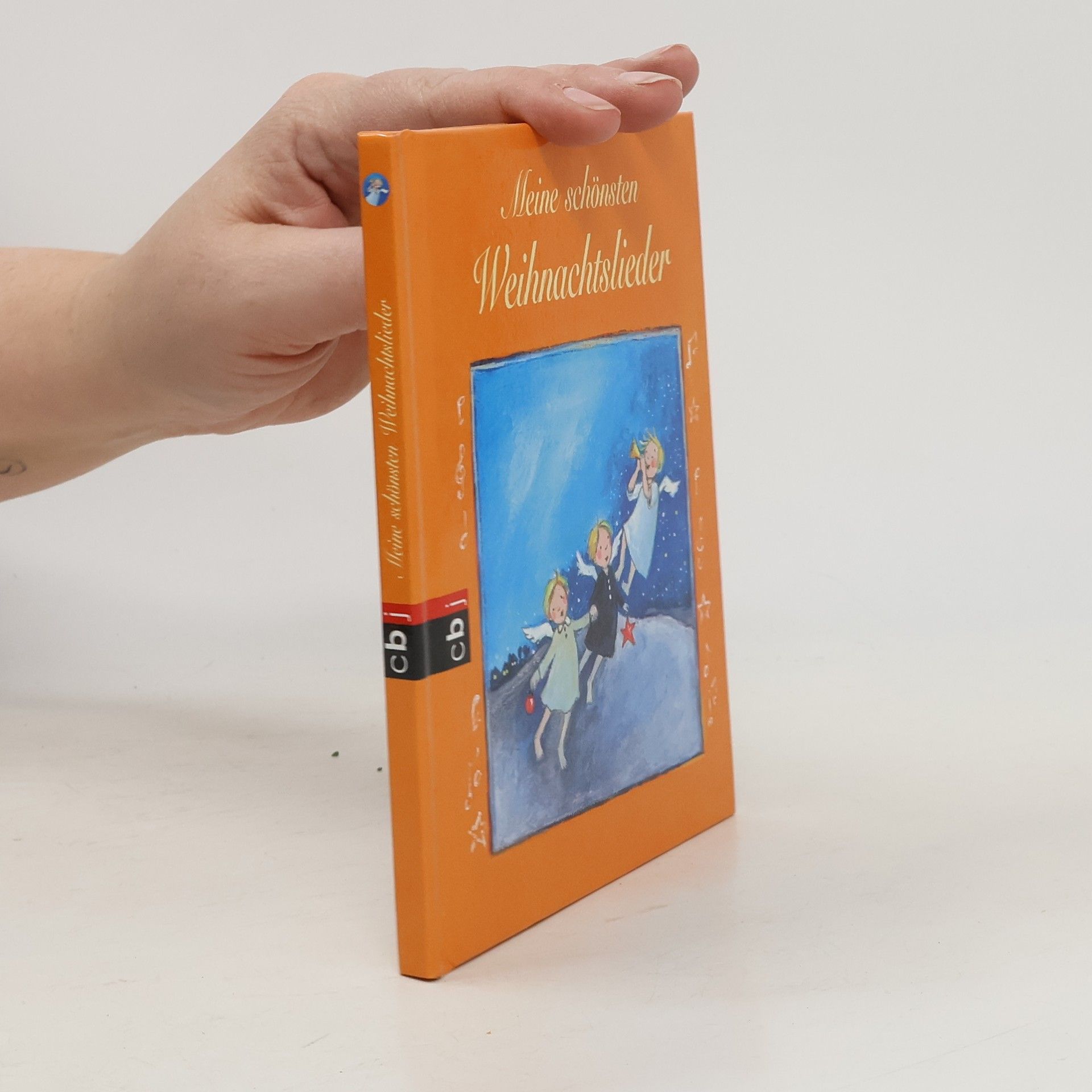 Kolektív autorov Meine schönsten Weihnachtslieder