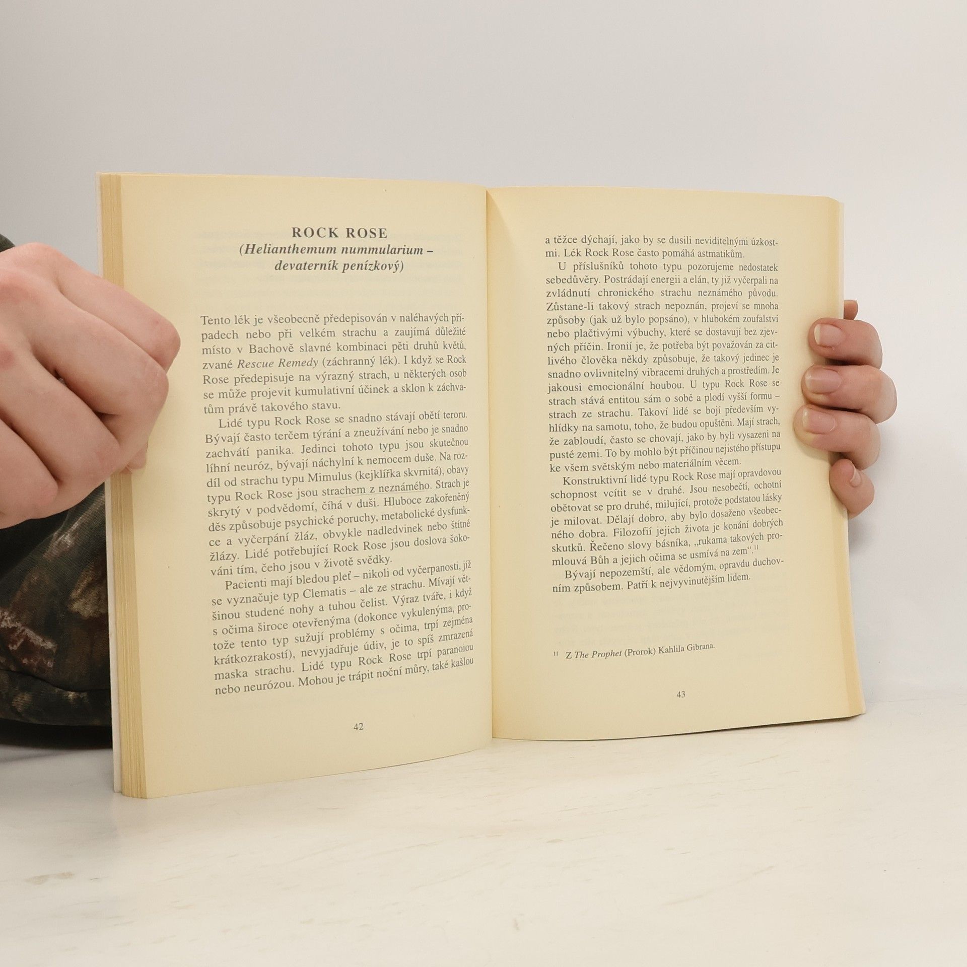 Peter Damian 12 léčitelů zvěrokruhu