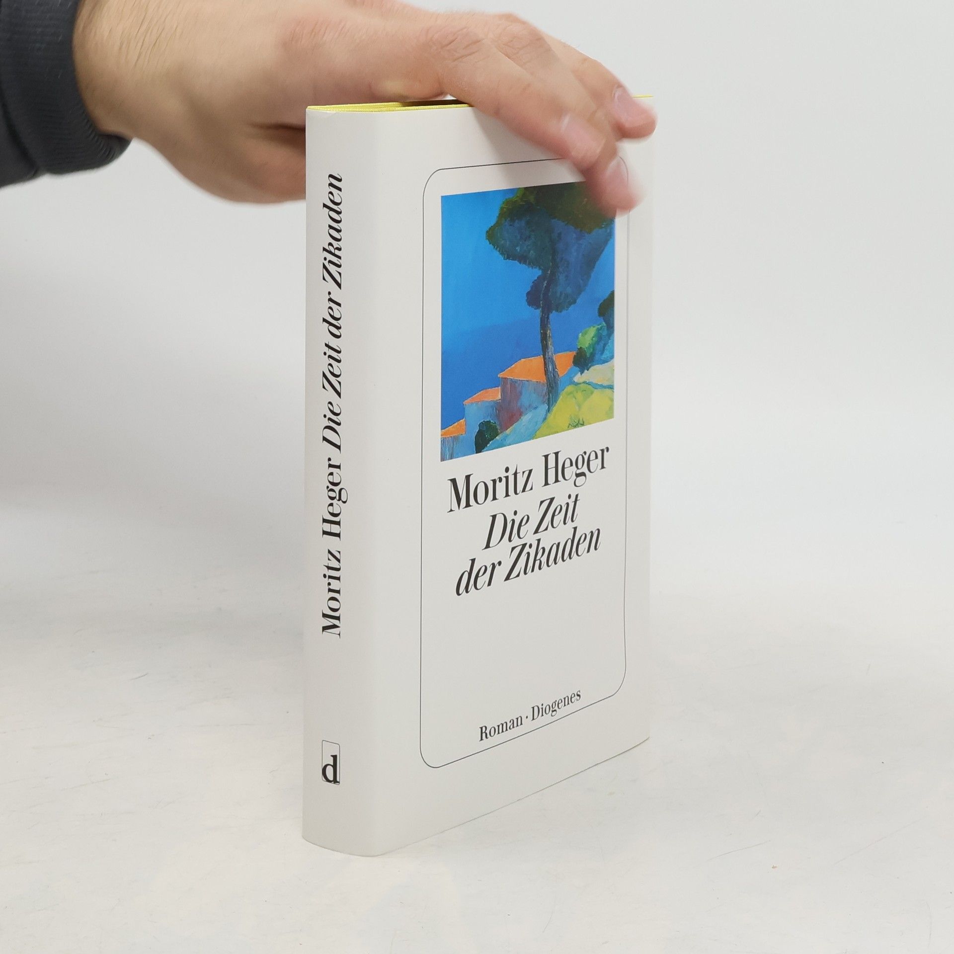 Moritz Heger Die Zeit der Zikaden