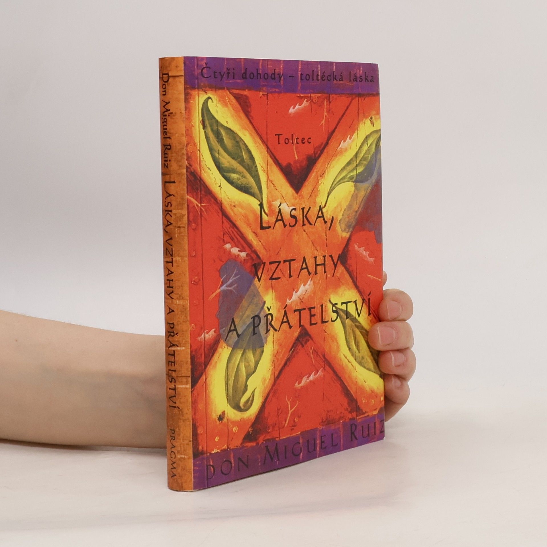 Don Miguel Ruiz Láska, vztahy a přátelství