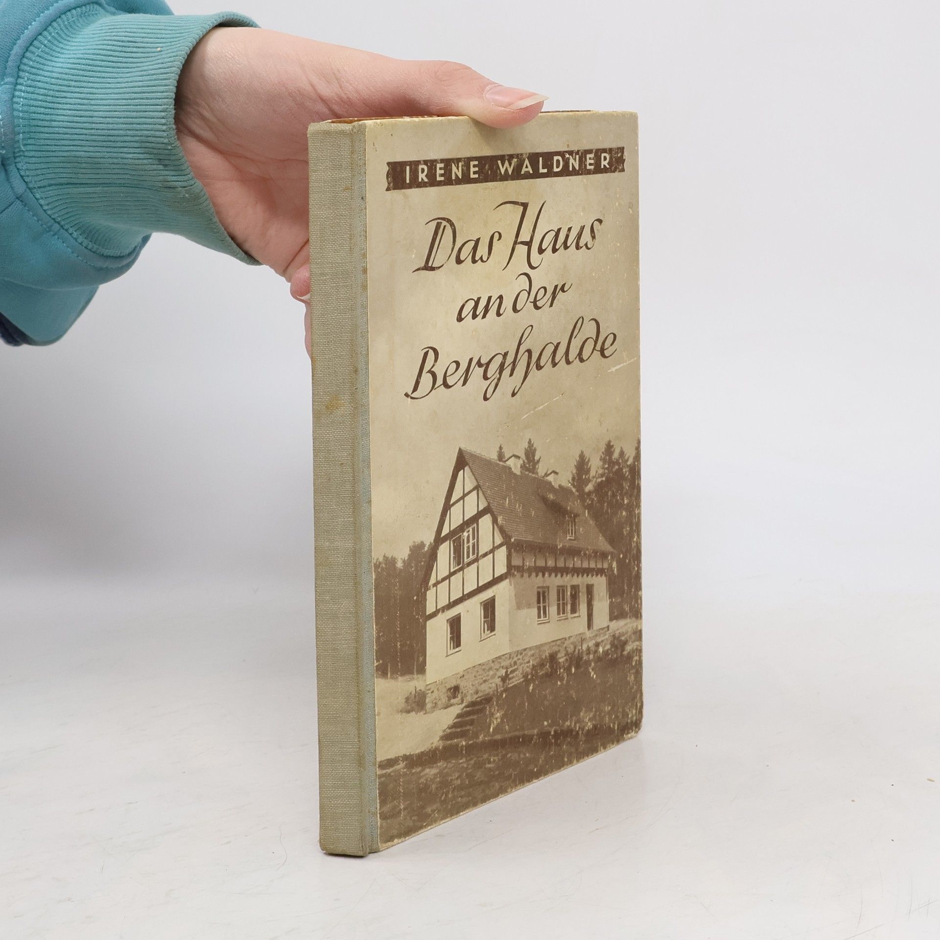 Irene Waldner Das Haus an der Berghalde