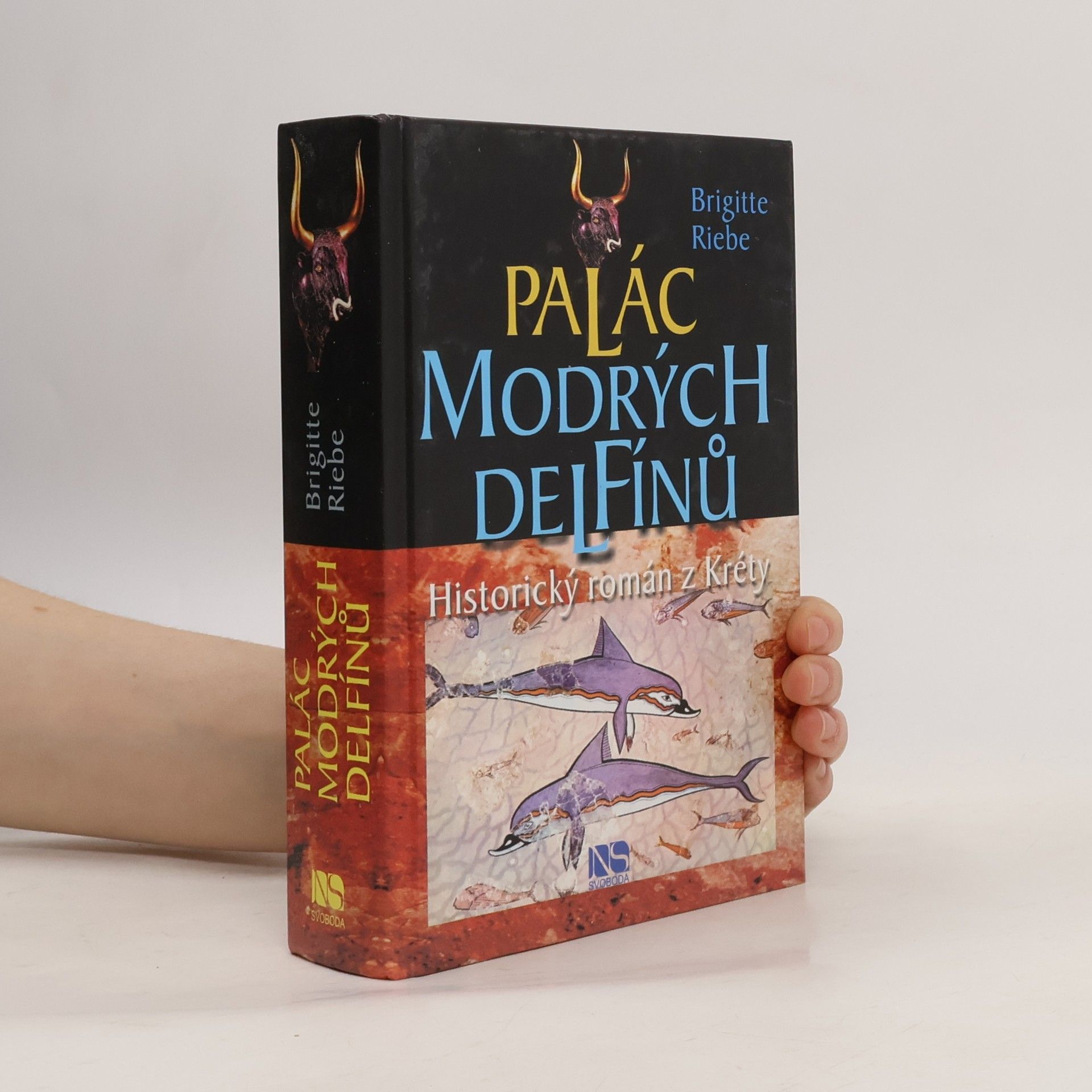 Brigitte Riebe Palác modrých delfínů