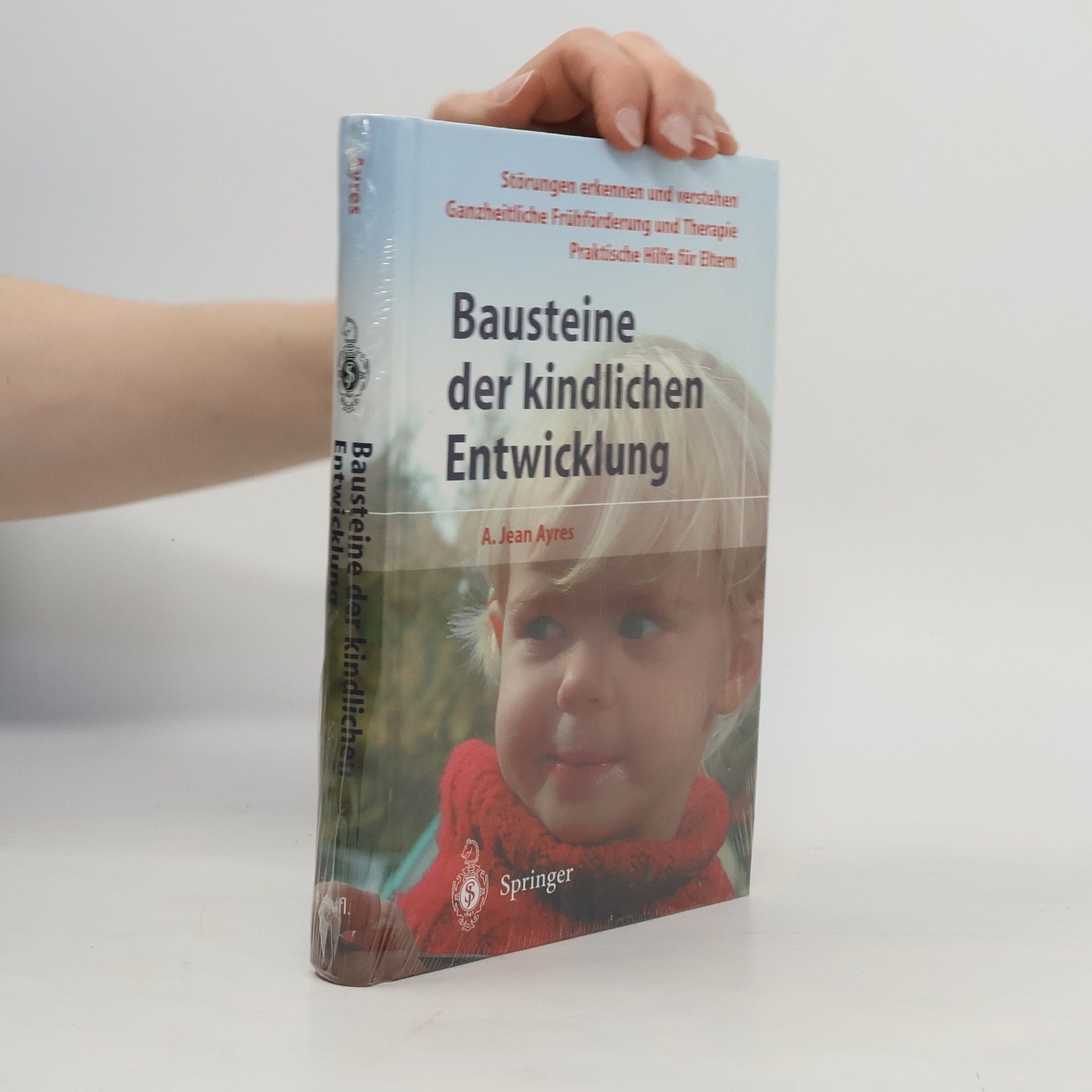 Anna Jean Ayres Bausteine der kindlichen Entwicklung
