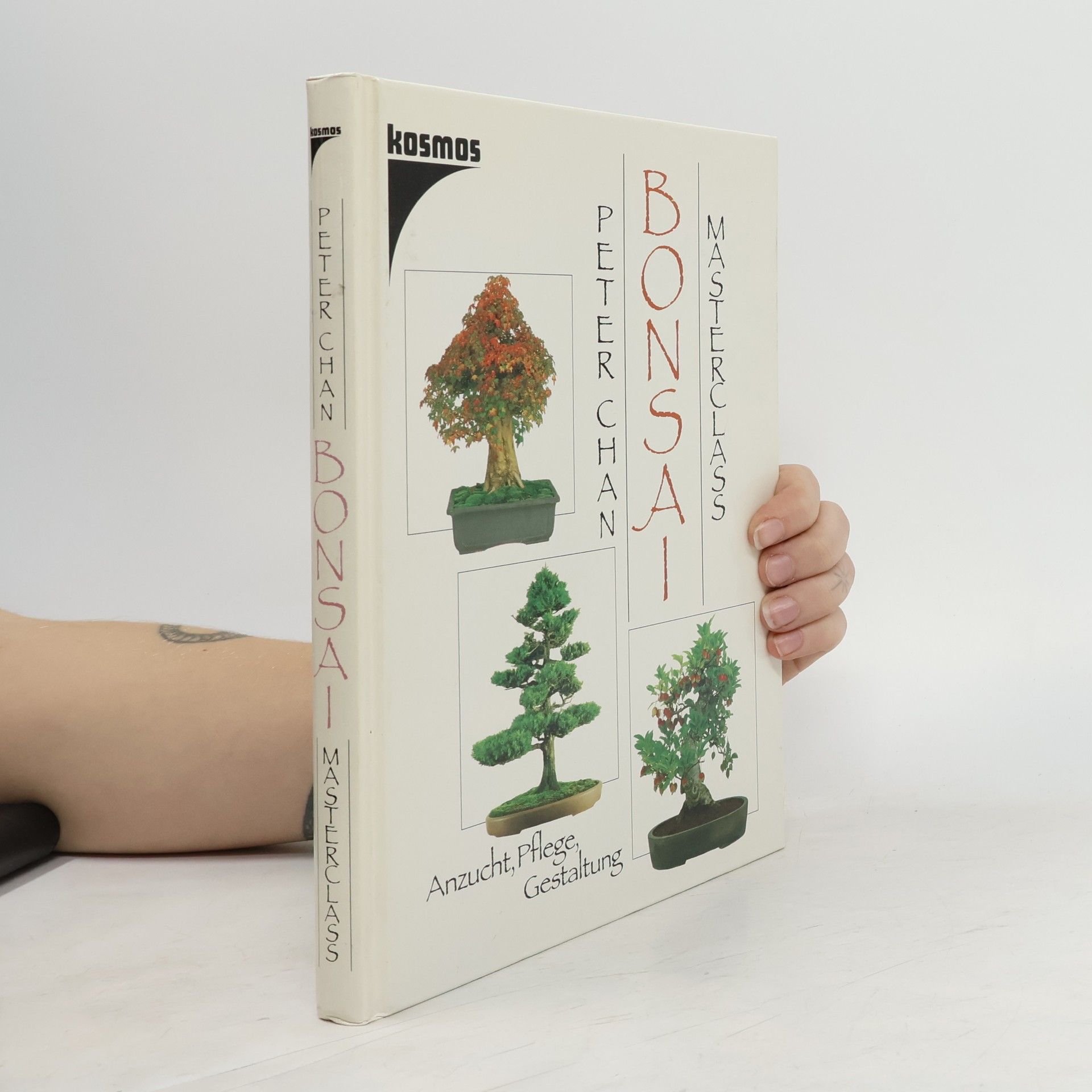 Peter Chan Bonsai masterclass