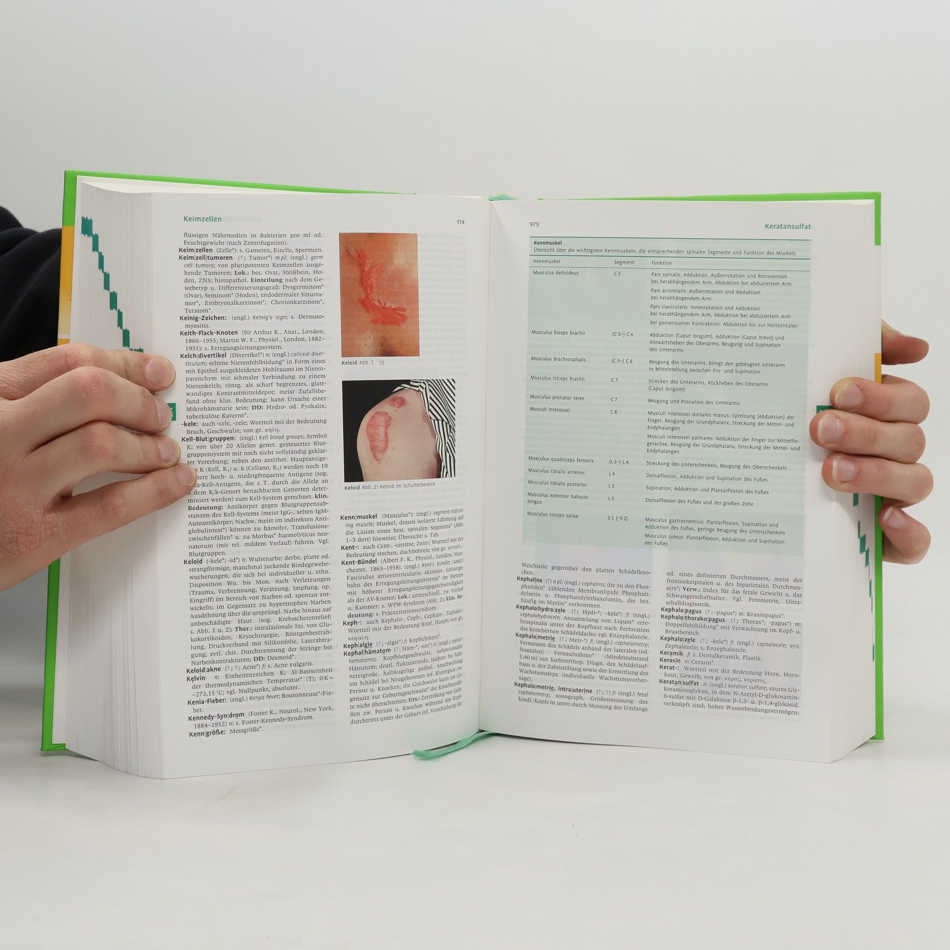 Willibald Pschyrembel Pschyrembel Klinisches Wörterbuch