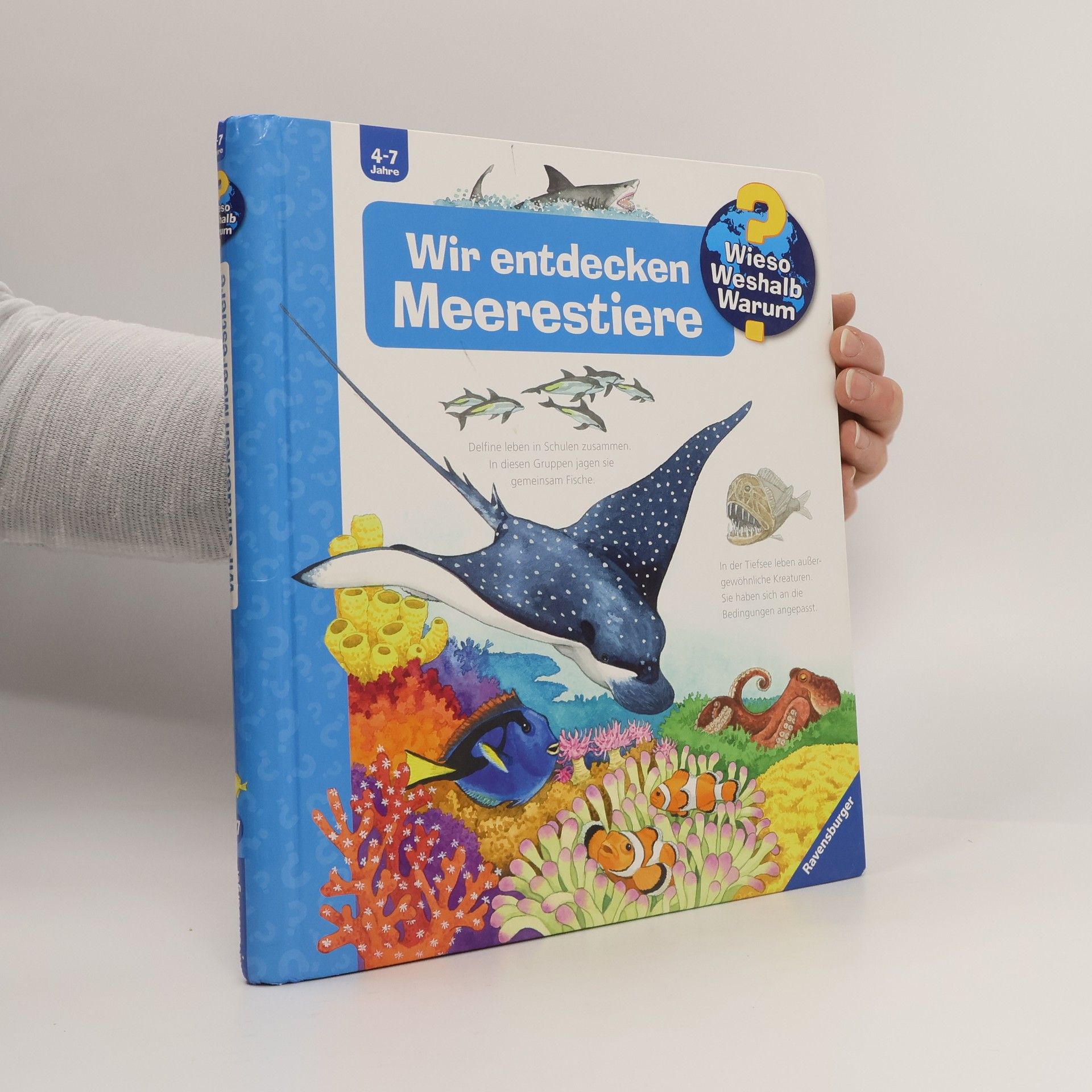 Wir entdecken Meerestiere