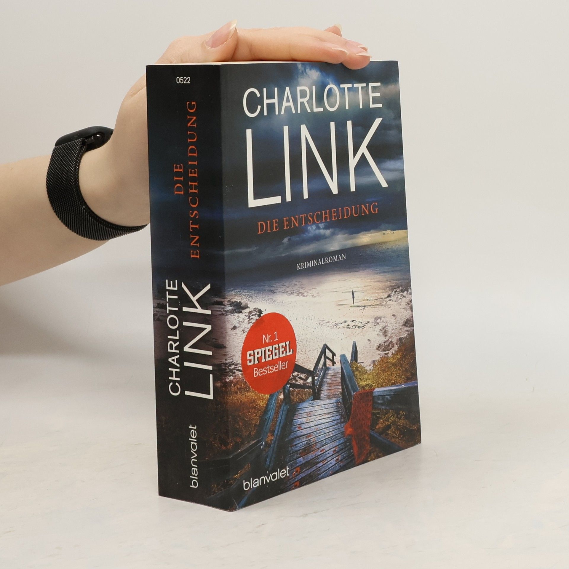 Charlotte Link Die Entscheidung