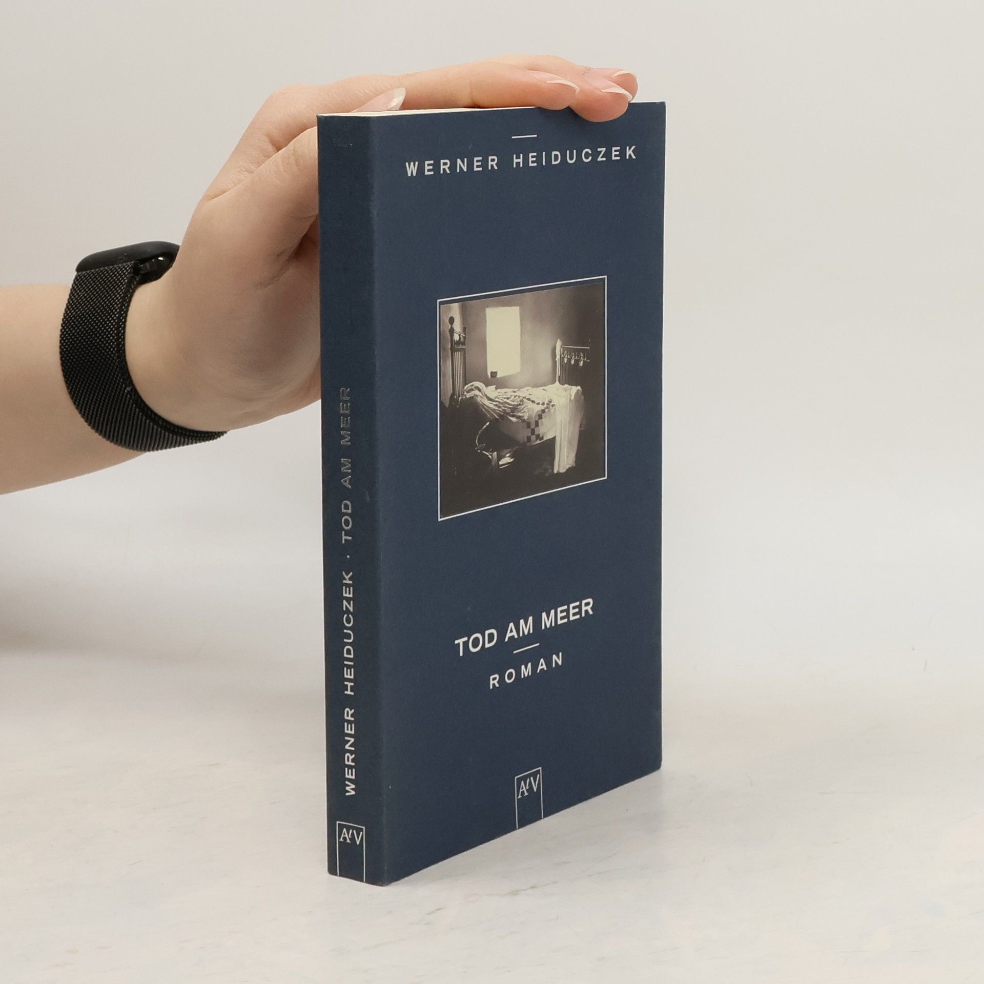 Werner Heiduczek Tod am Meer