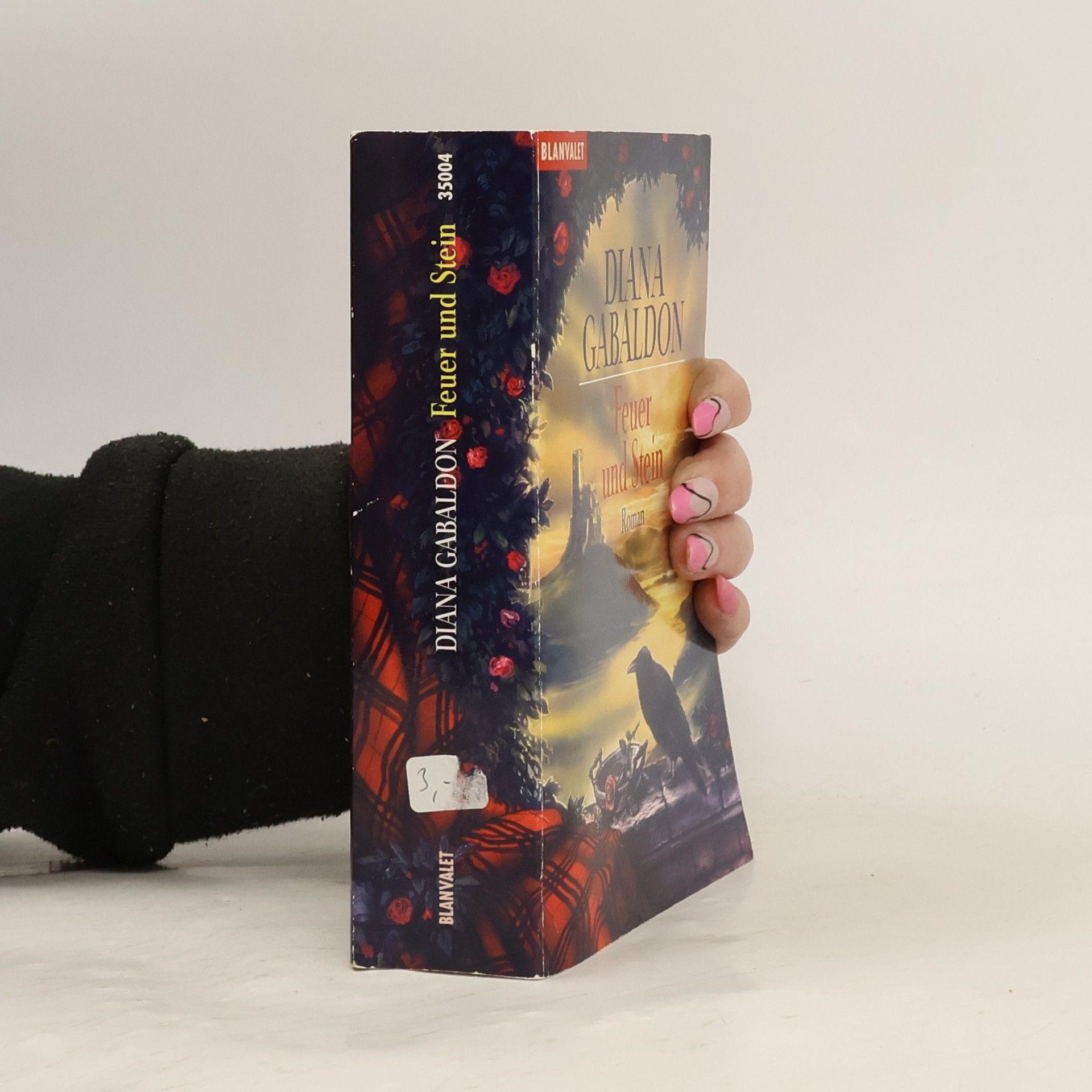 Diana Gabaldon Feuer und Stein