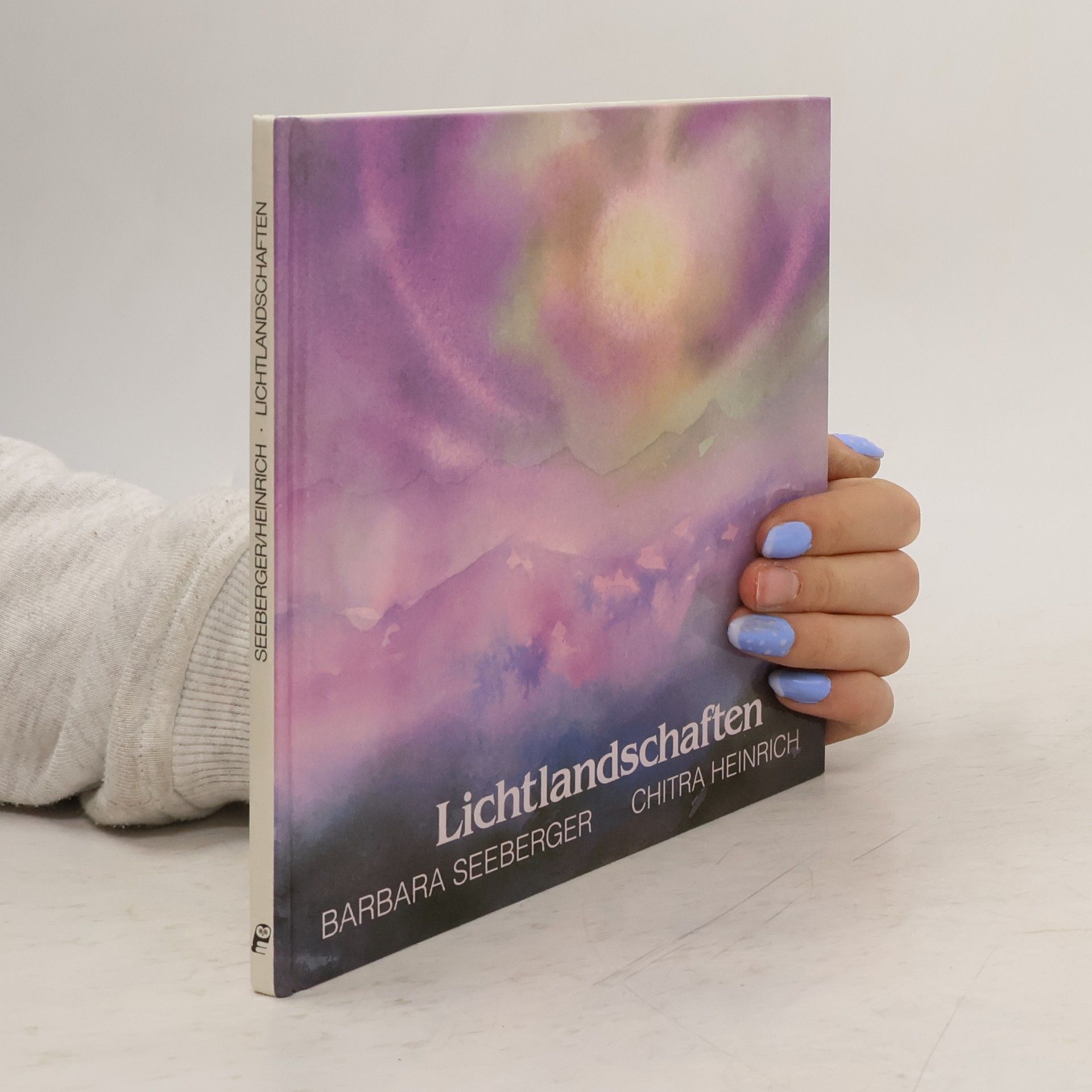 Barbara Seeberger Lichtlandschaften