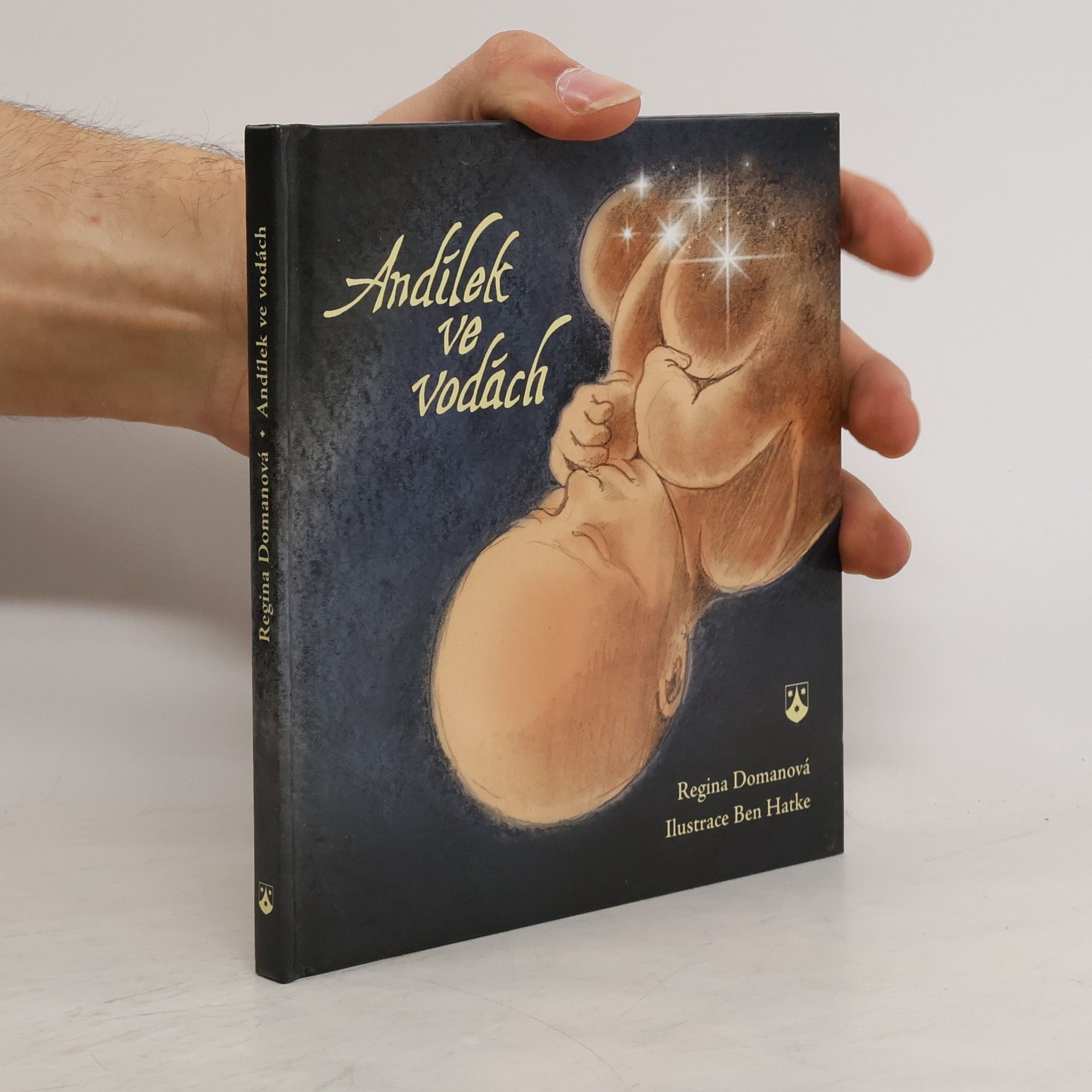 Regina Doman Andílek ve vodách