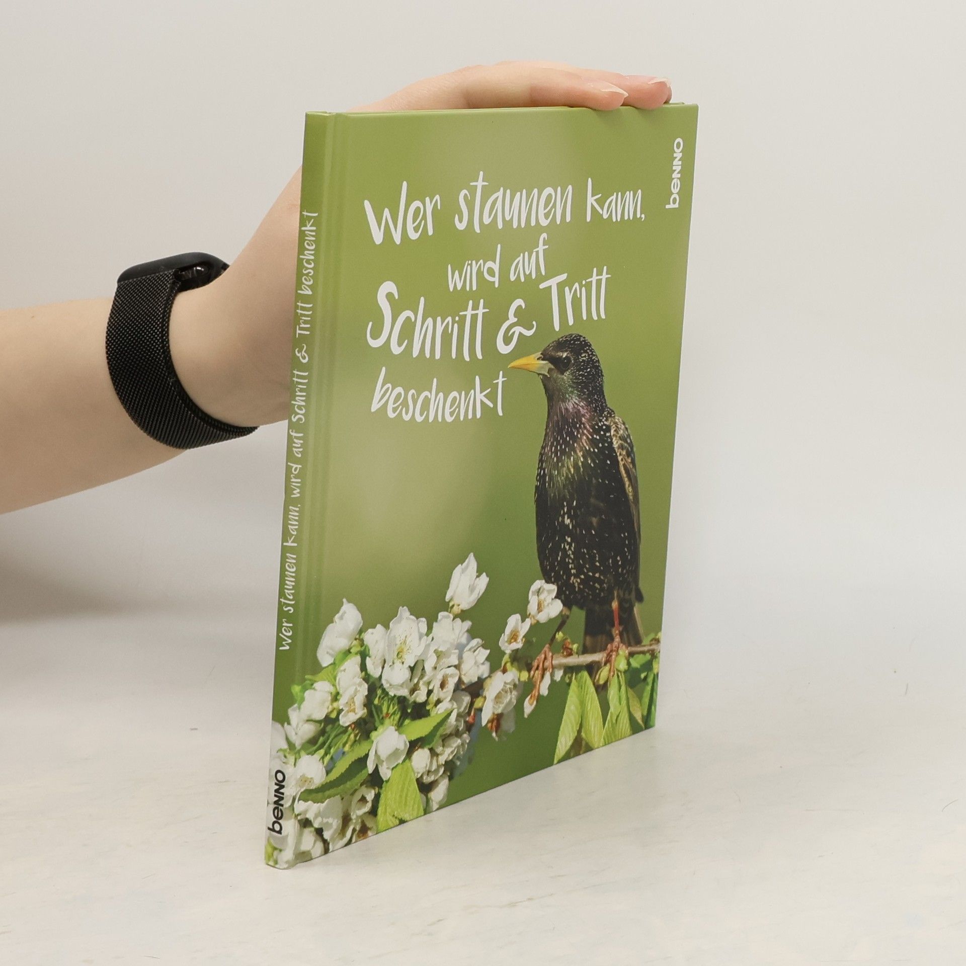 Volker Bauch Wer staunen kann, wird auf Schritt & Tritt beschenkt