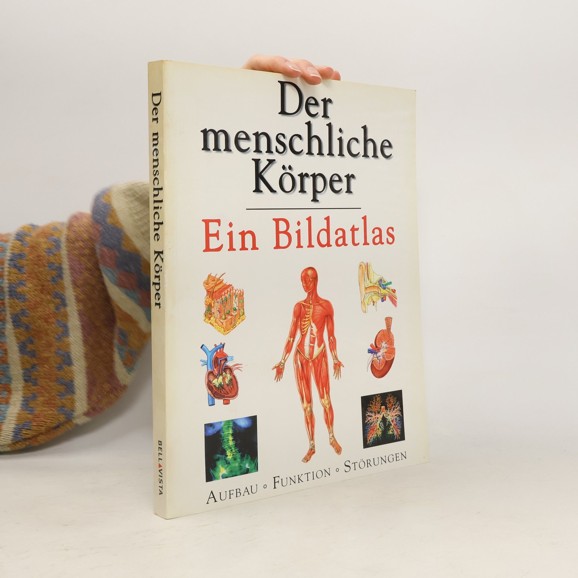 Autorenkollektiv Der menschliche Körper