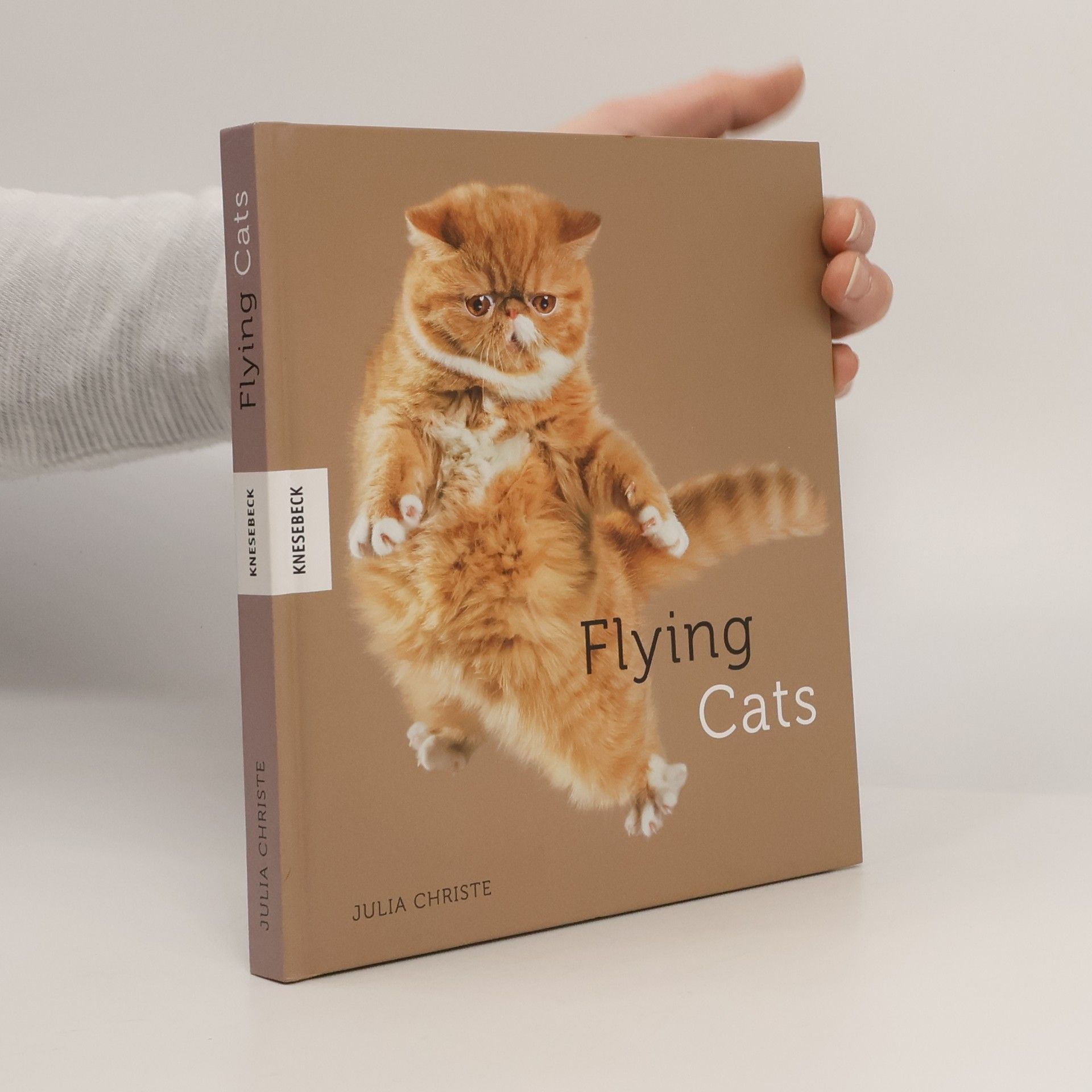 Julia Christe Flying cats