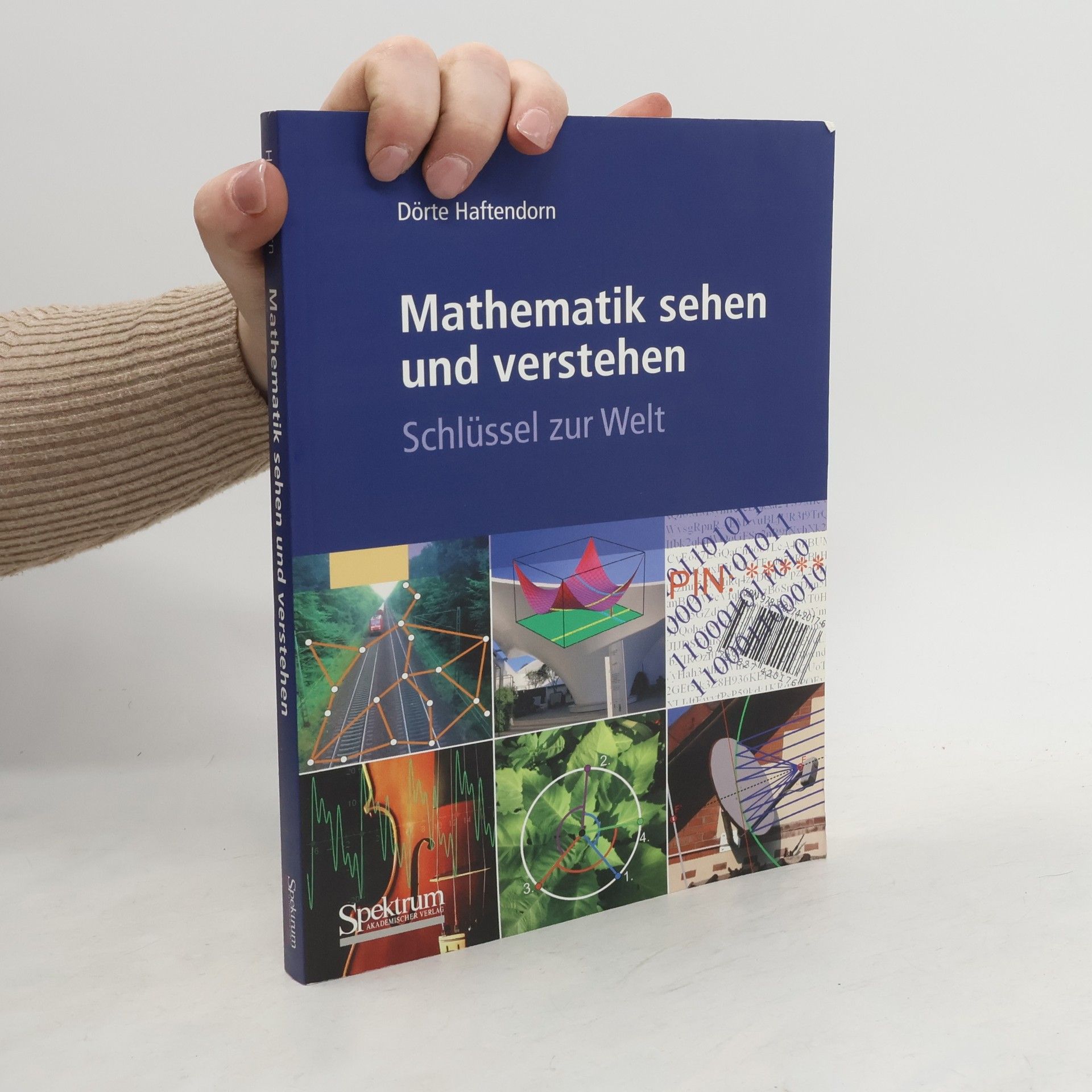 Mathematik sehen und verstehen