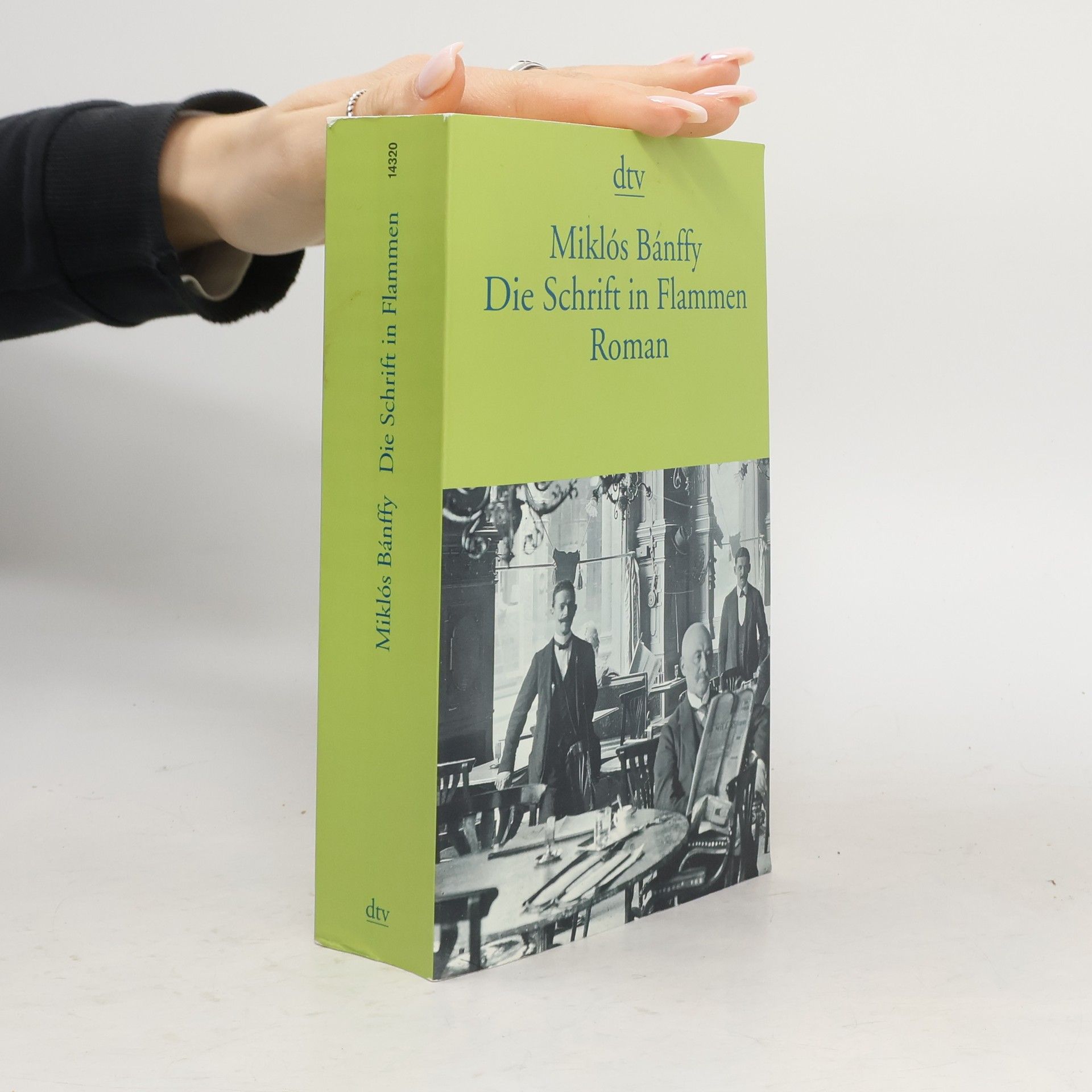 Miklós Bánffy Die Schrift in Flammen
