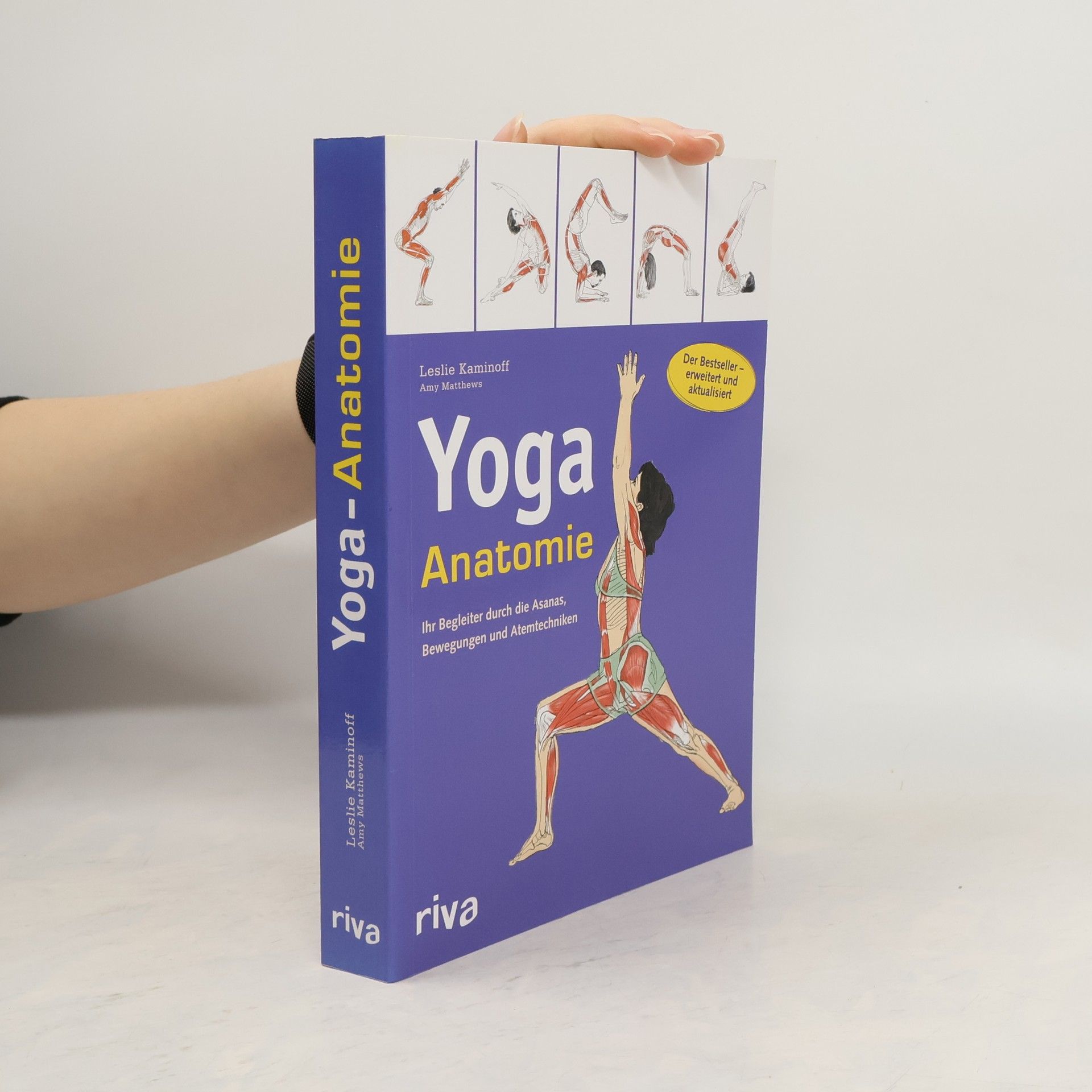 Leslie Kaminoff Yoga-Anatomie