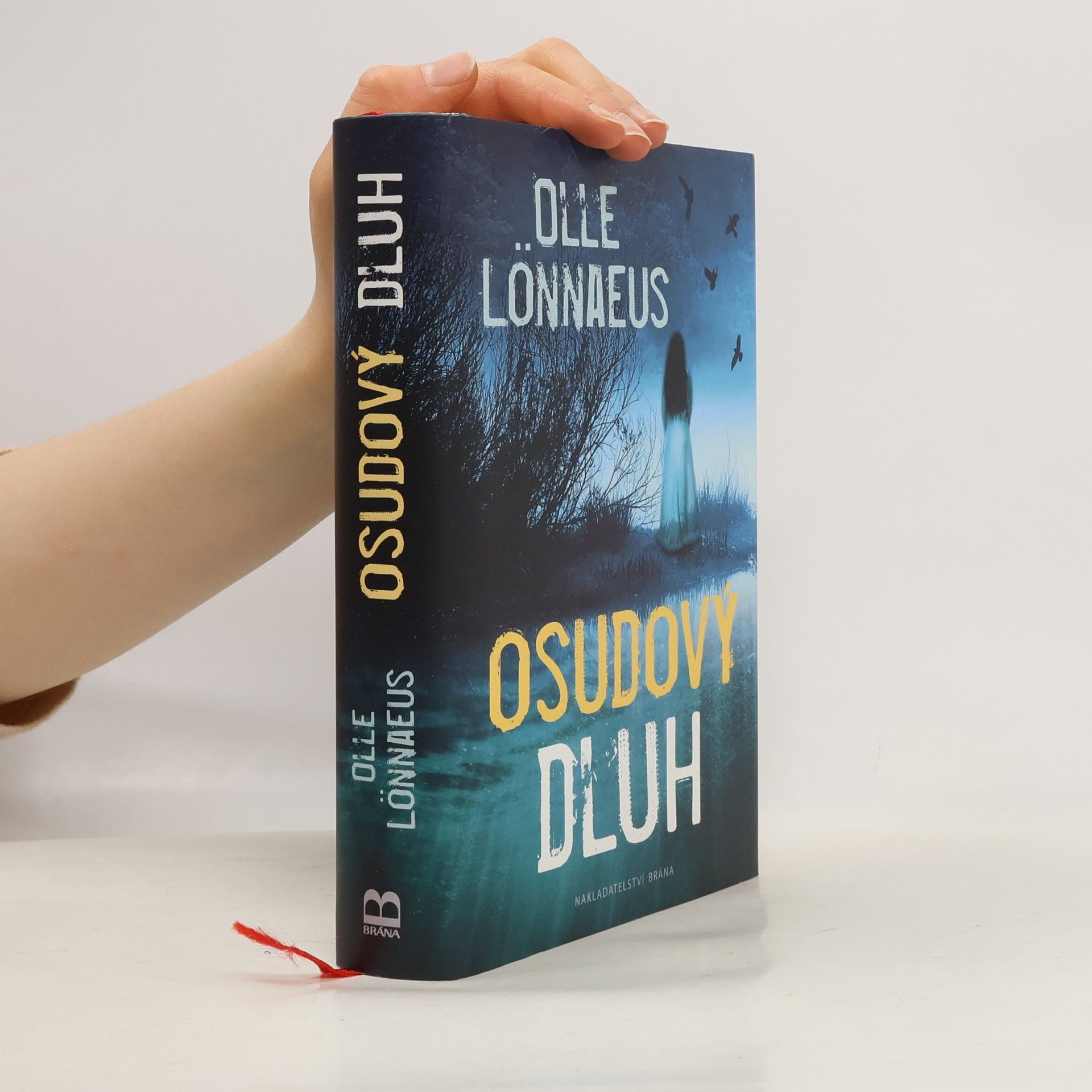 Olle Lönnaeus Osudový dluh