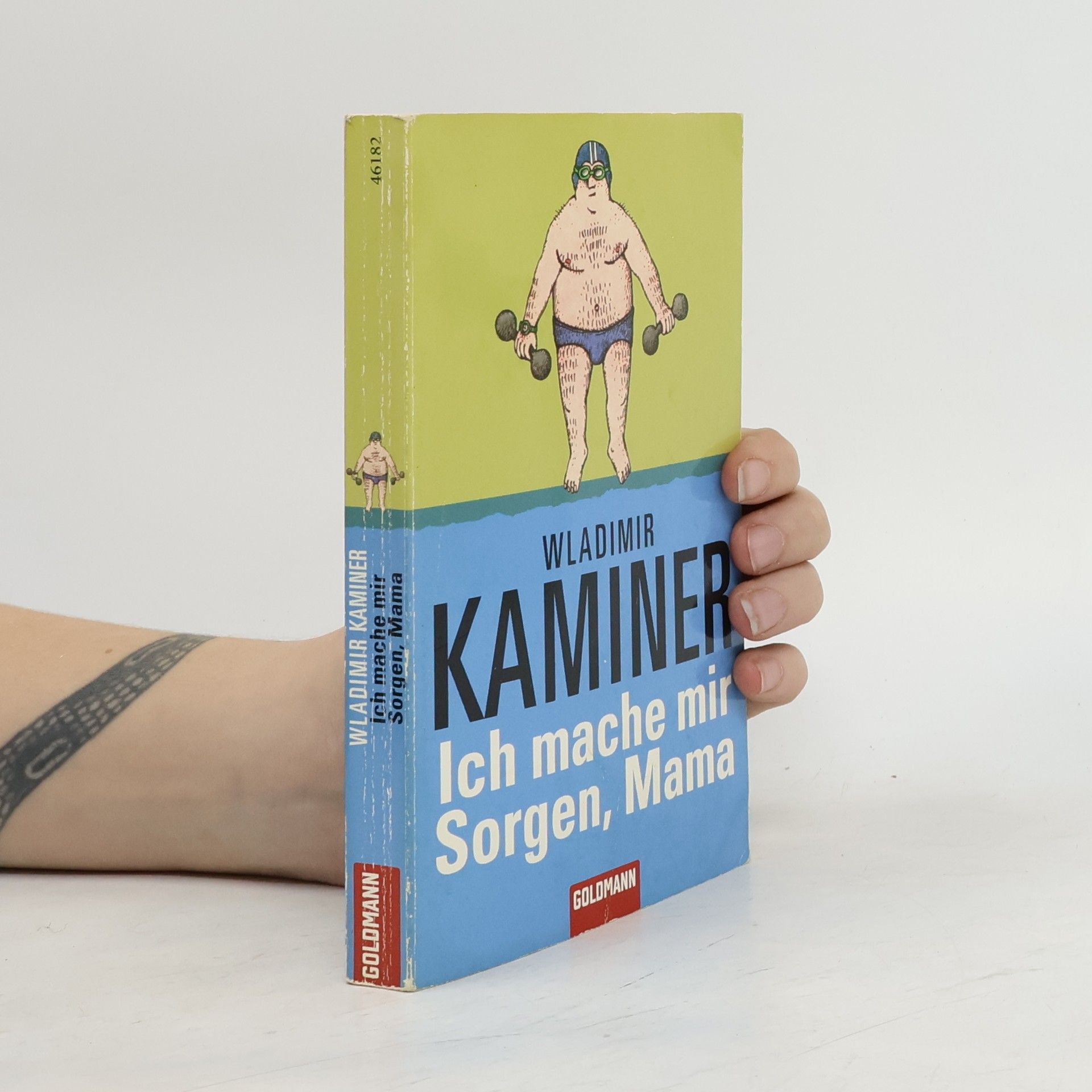 Wladimir Kaminer Ich mache mir Sorgen, Mama