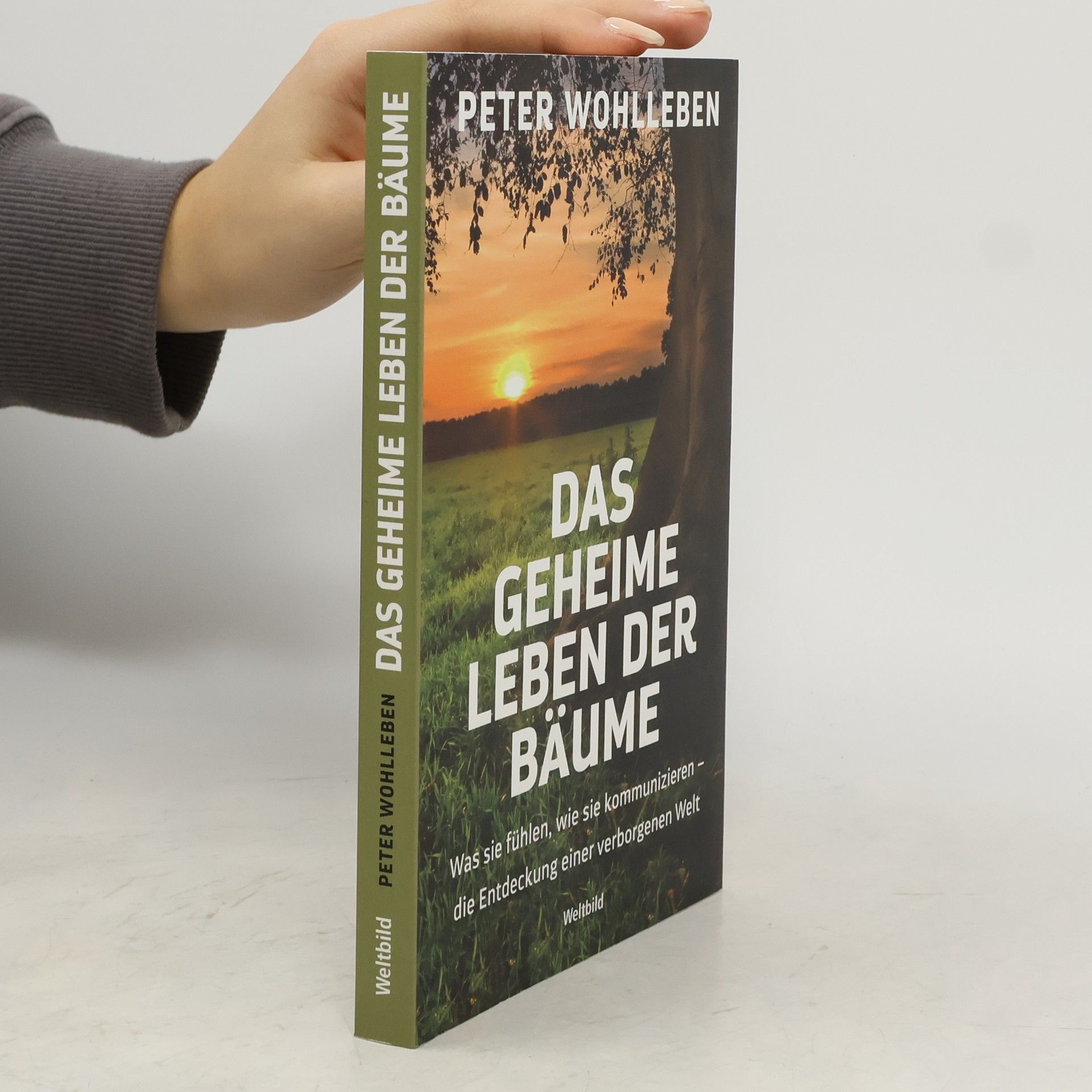 Das geheime Leben der Bäume