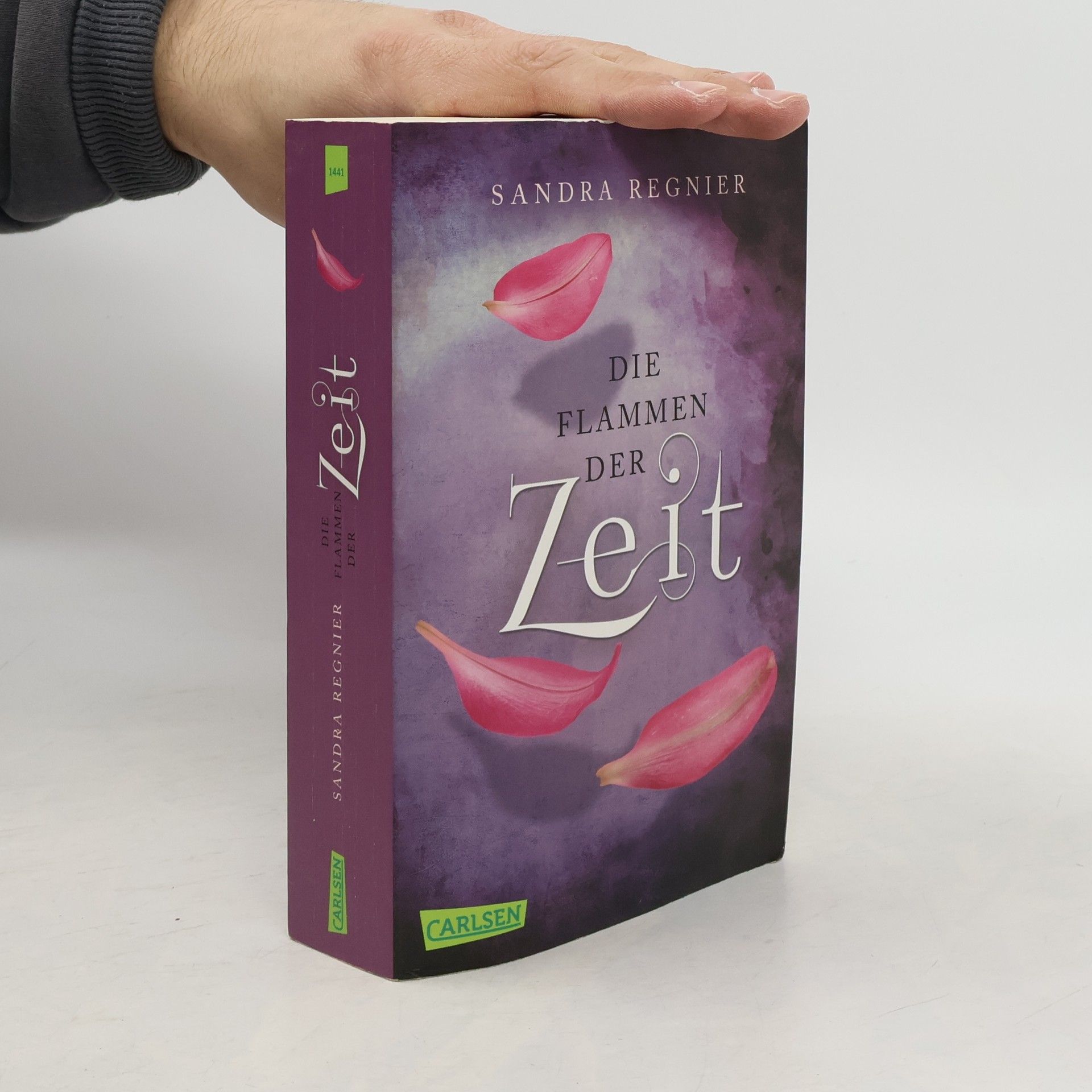 Die Flammen der Zeit