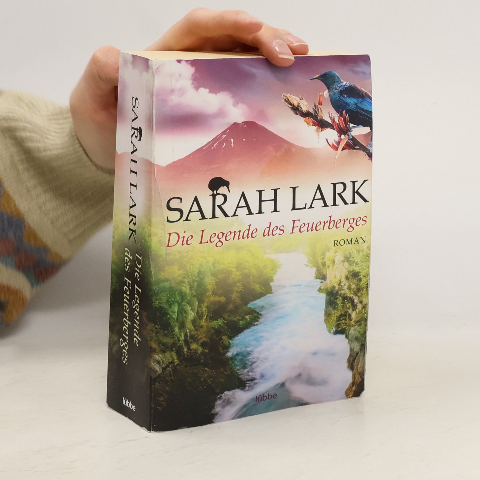 Christiane Gohl Die Legende des Feuerberges