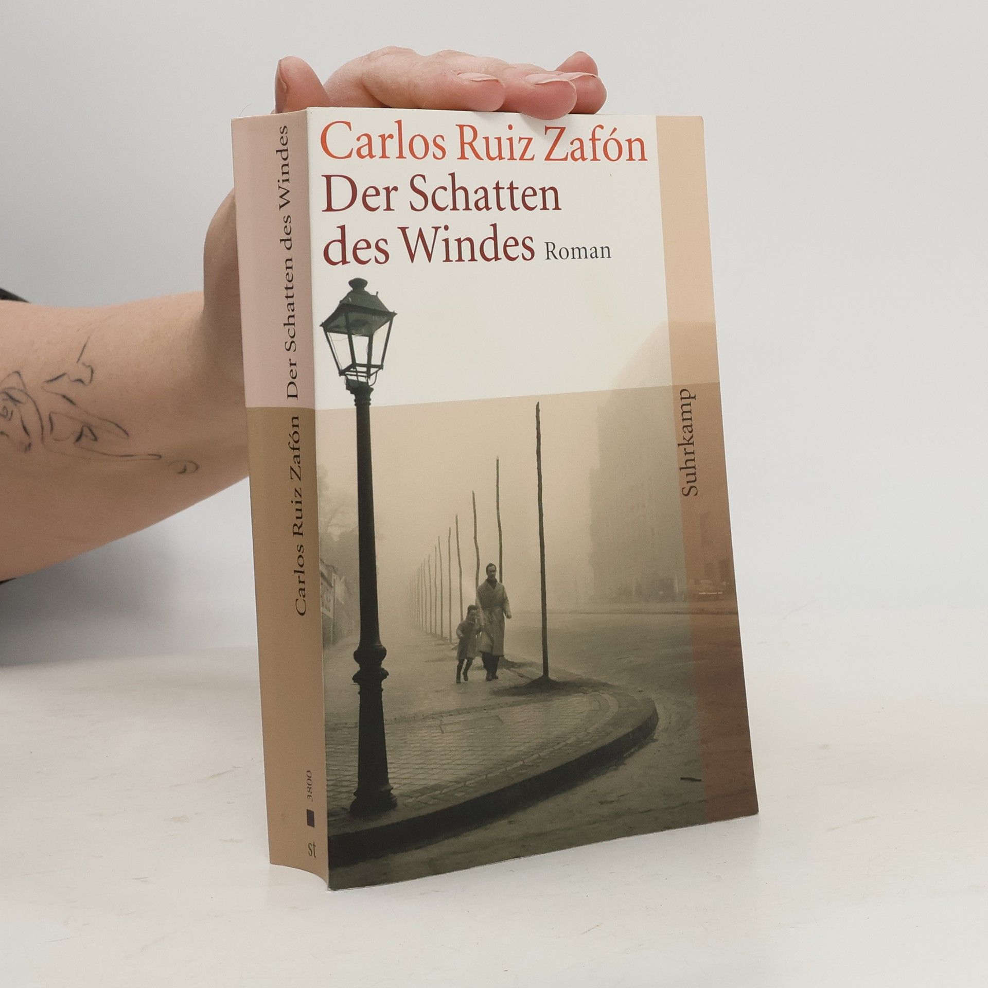 Der Schatten des Windes