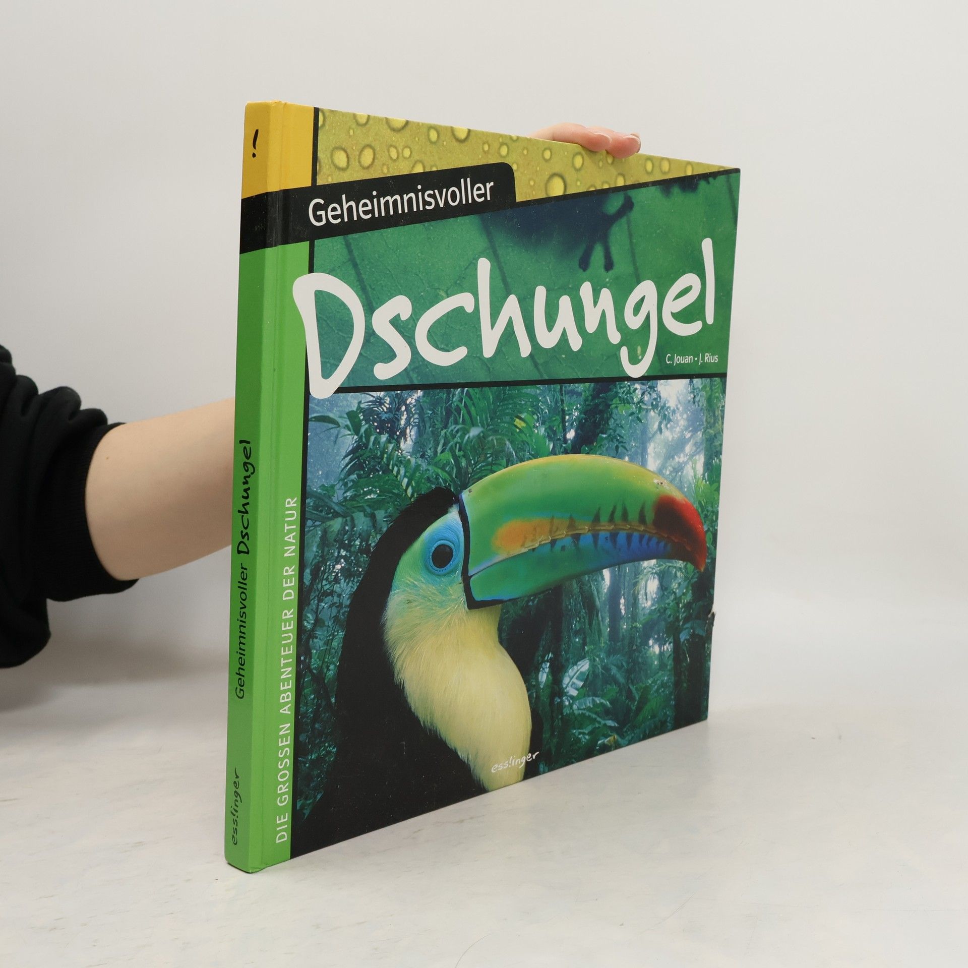 Jeanne Rius Geheimnisvoller Dschungel