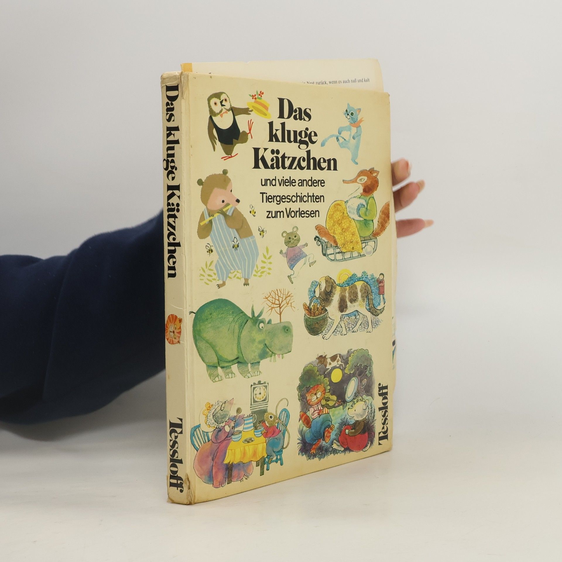 Elizabeth Arkwright Das kluge Kätzchen und viele andere Tiergeschichten zum Vorlesen