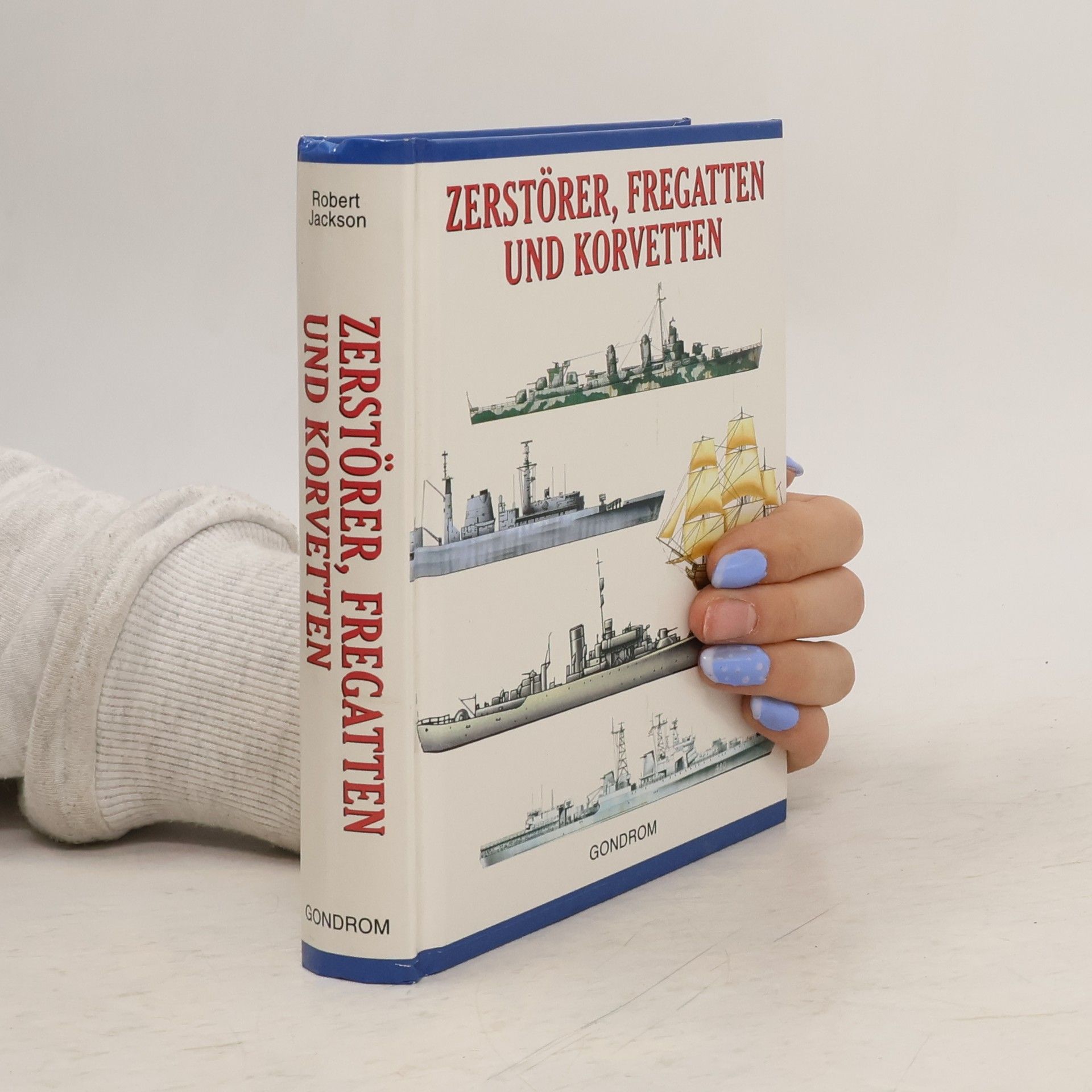 Zerstörer, Fregatten und Korvetten