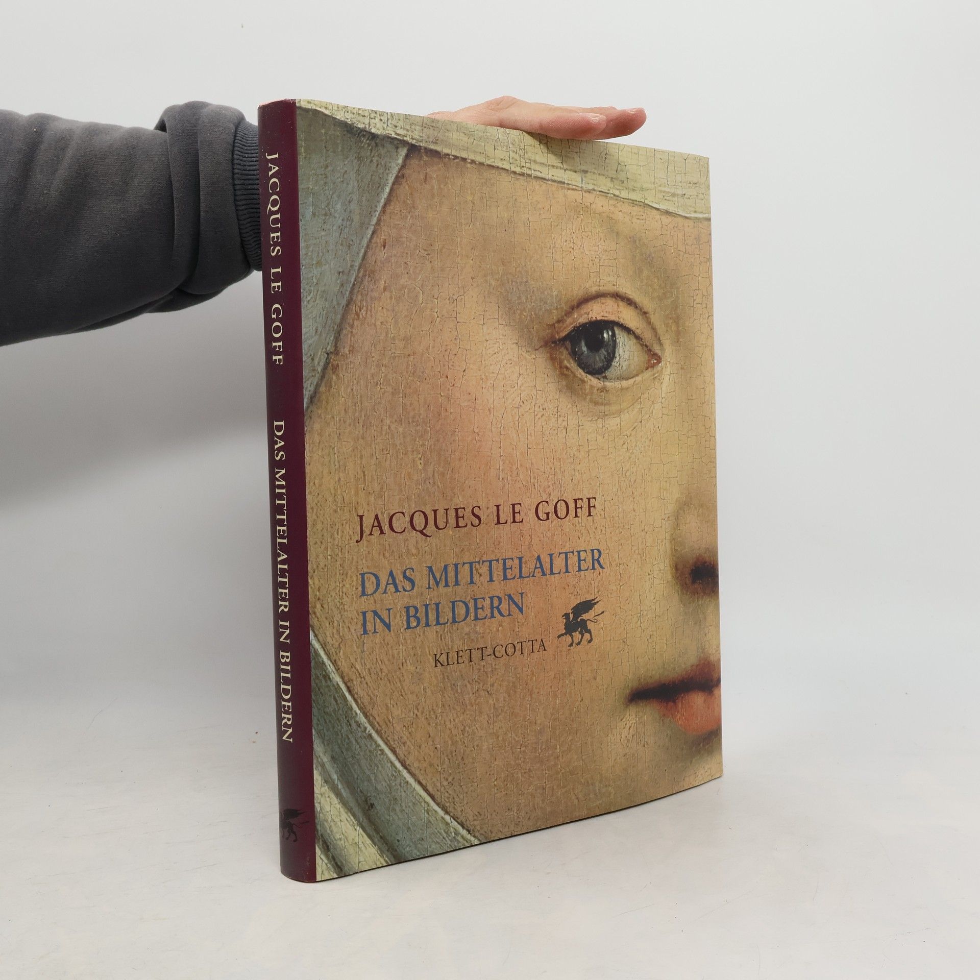 Jacques Le Goff Das Mittelalter in Bildern