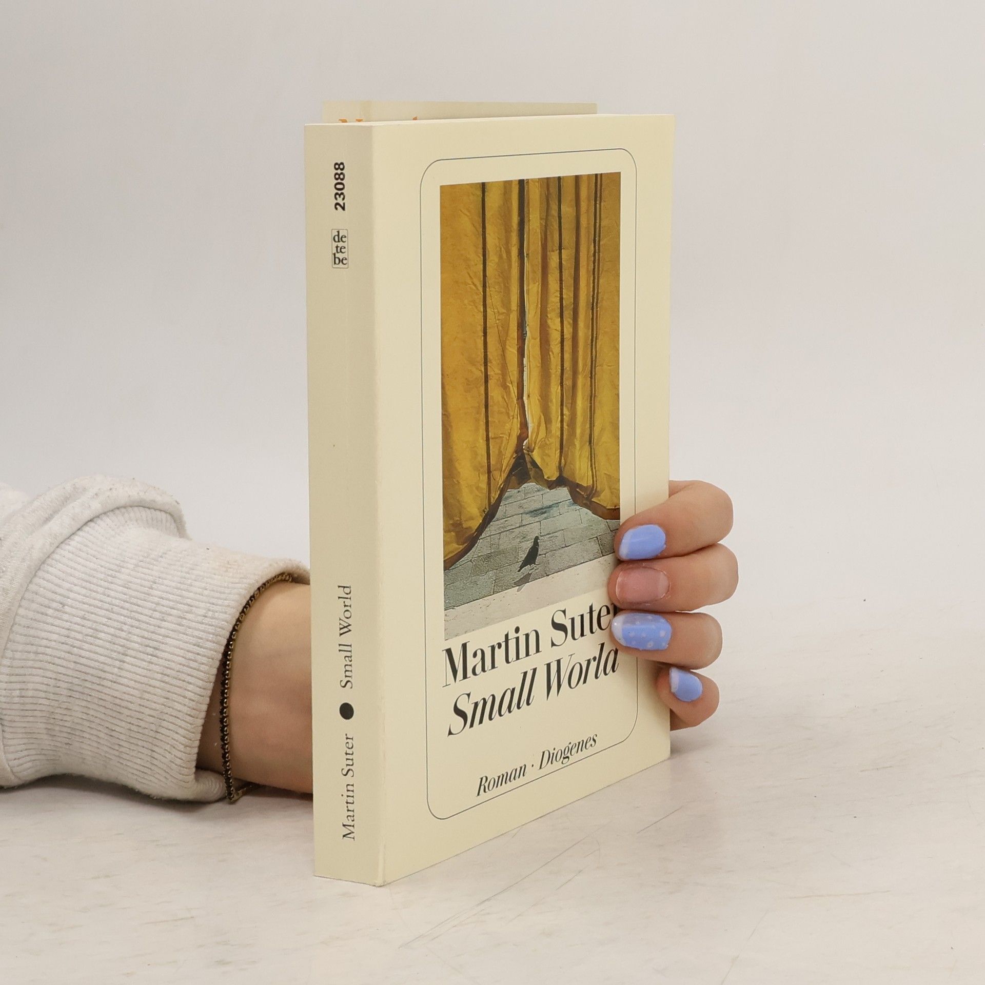 Martin Suter Small World
