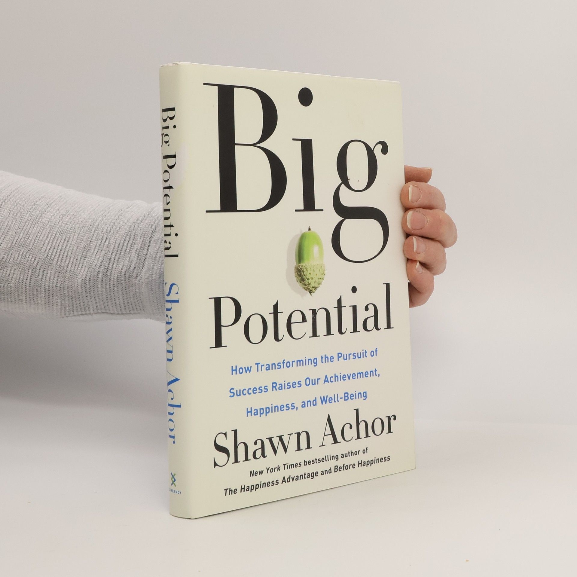 Shawn Achor Big Potential