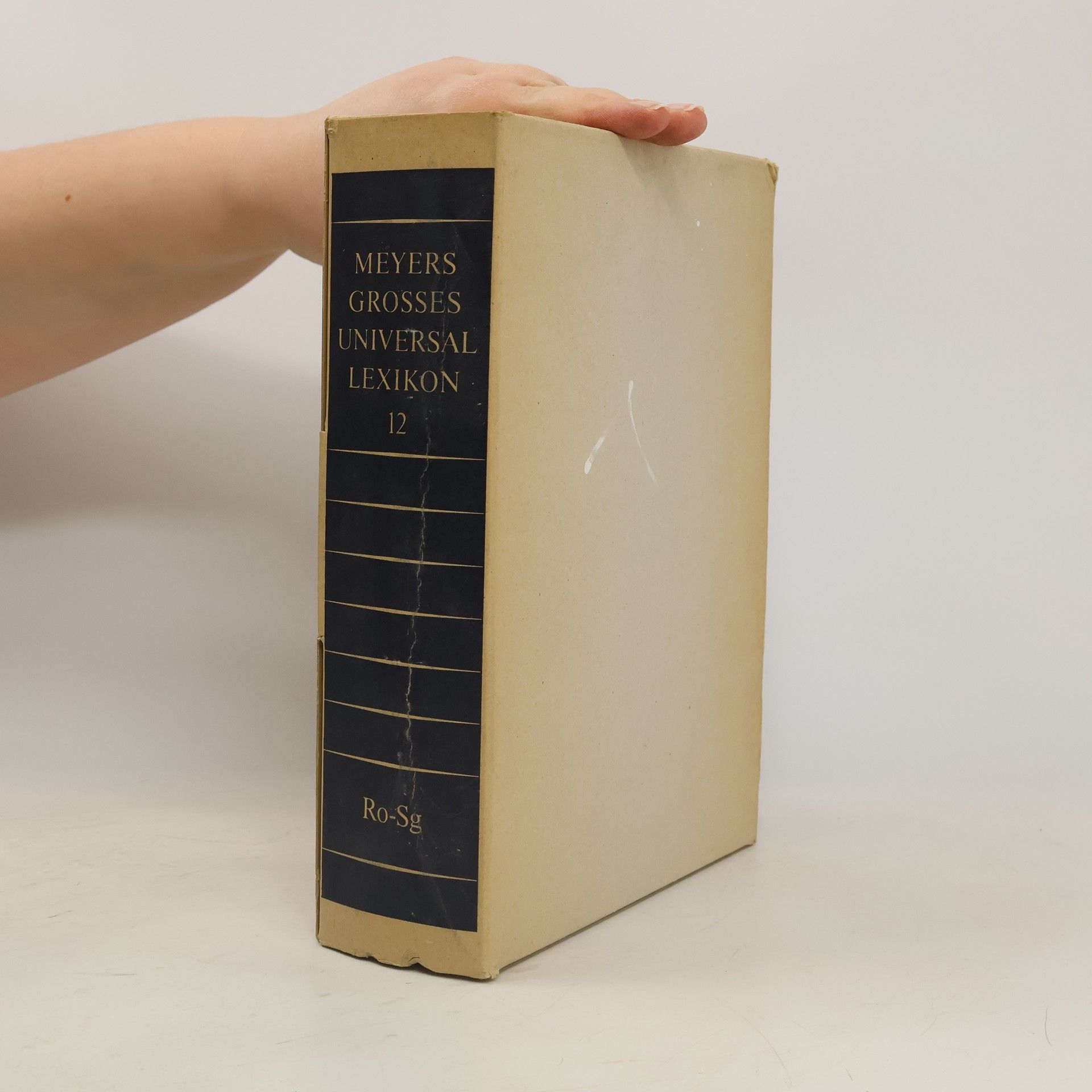 Autorenkollektiv Meyers grosses Universal-Lexikon Ro-Sg 12