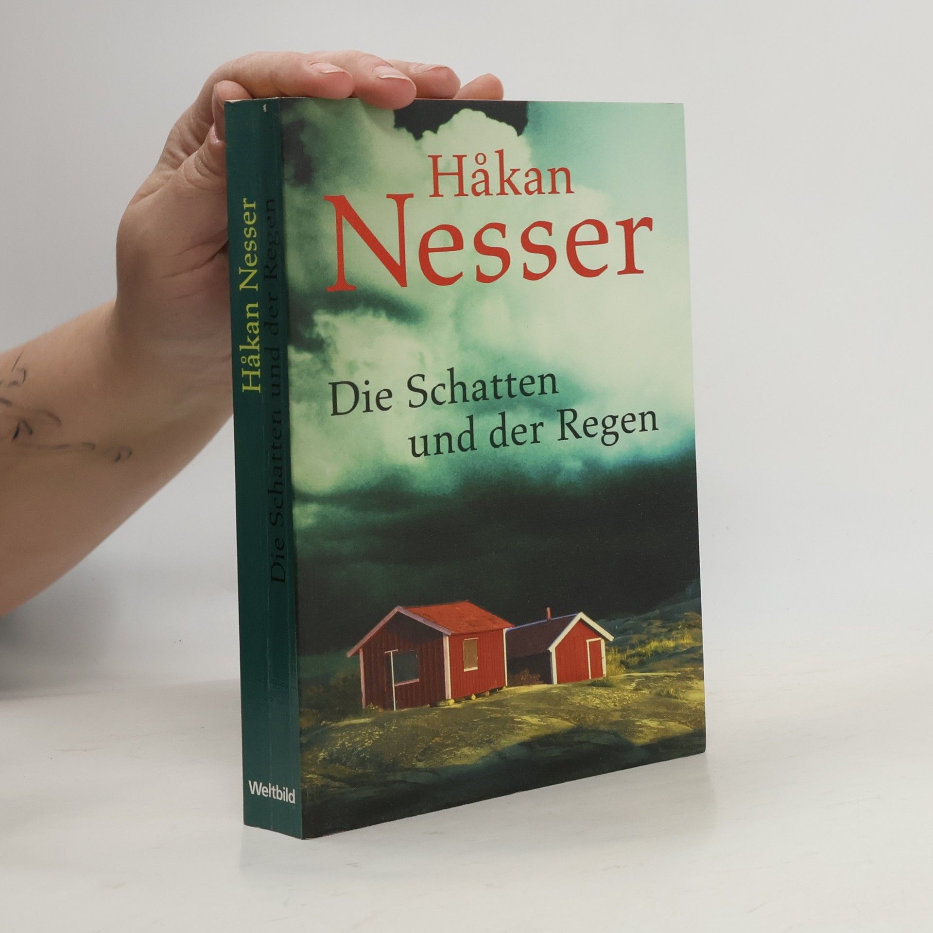 Håkan Nesser Die Schatten und der Regen