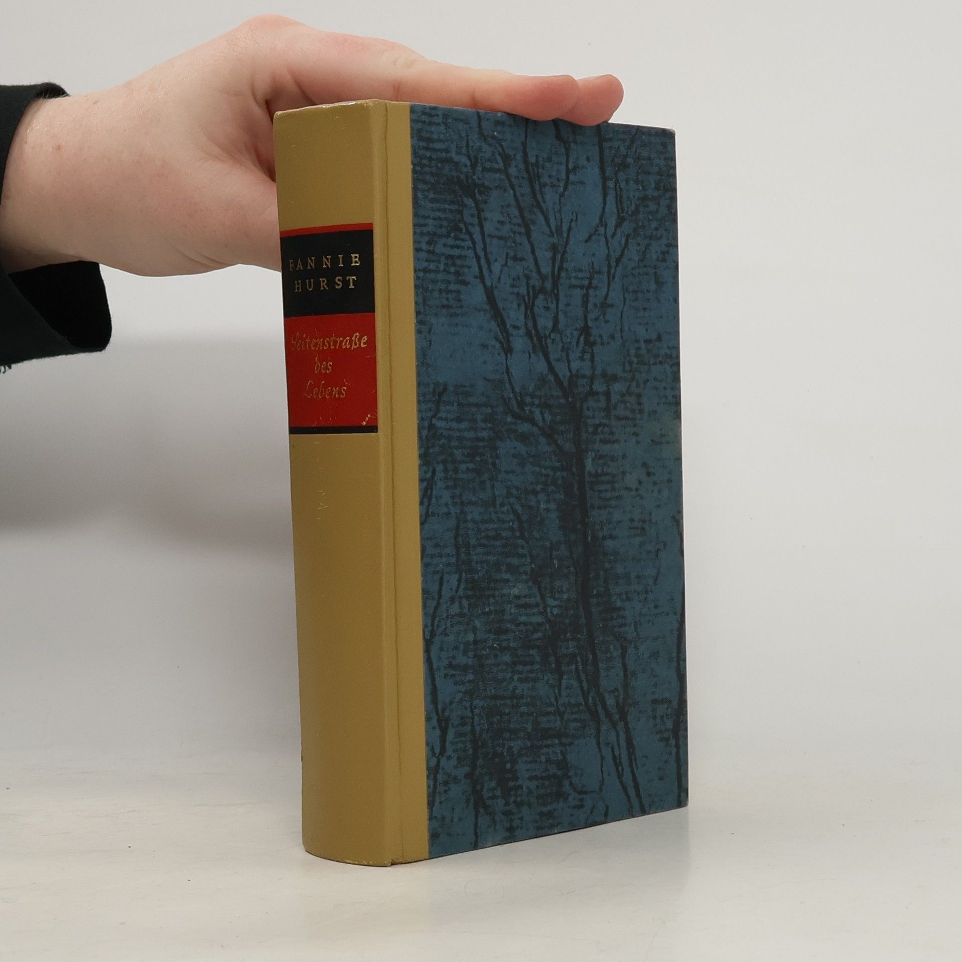 Fannie Hurst Seitenstraße des Lebens