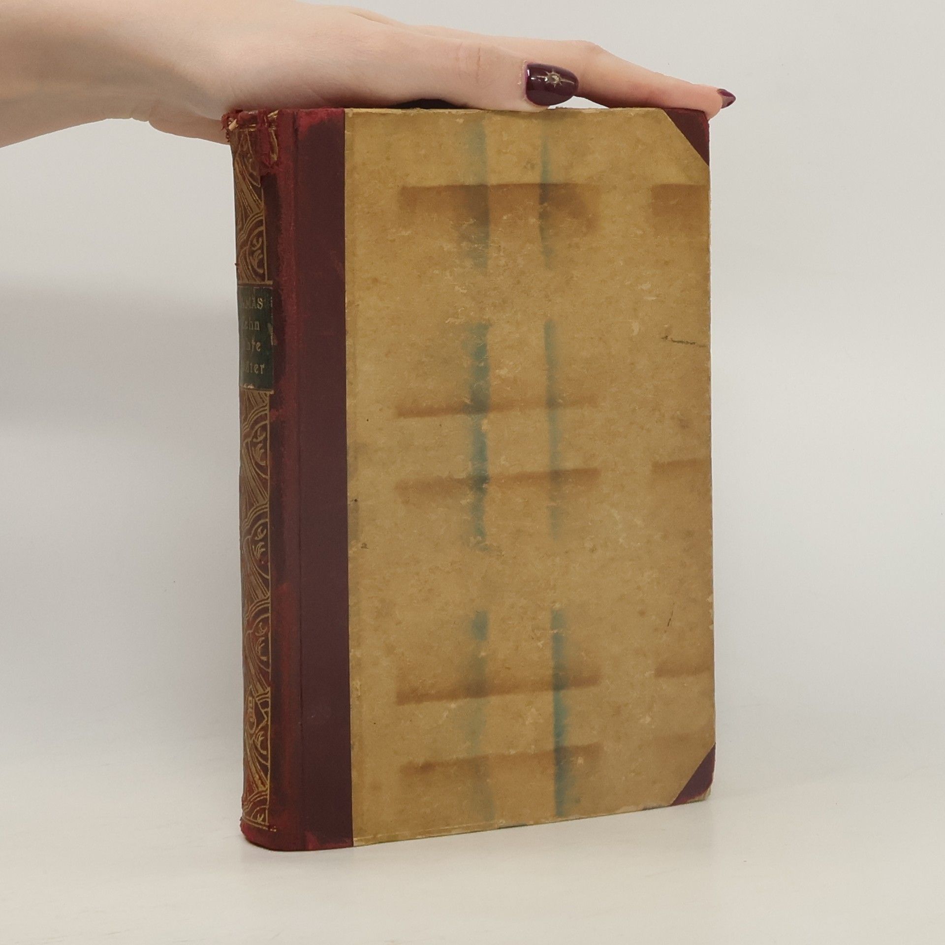 Alexandre Dumas der Ältere Zehn Jahre später