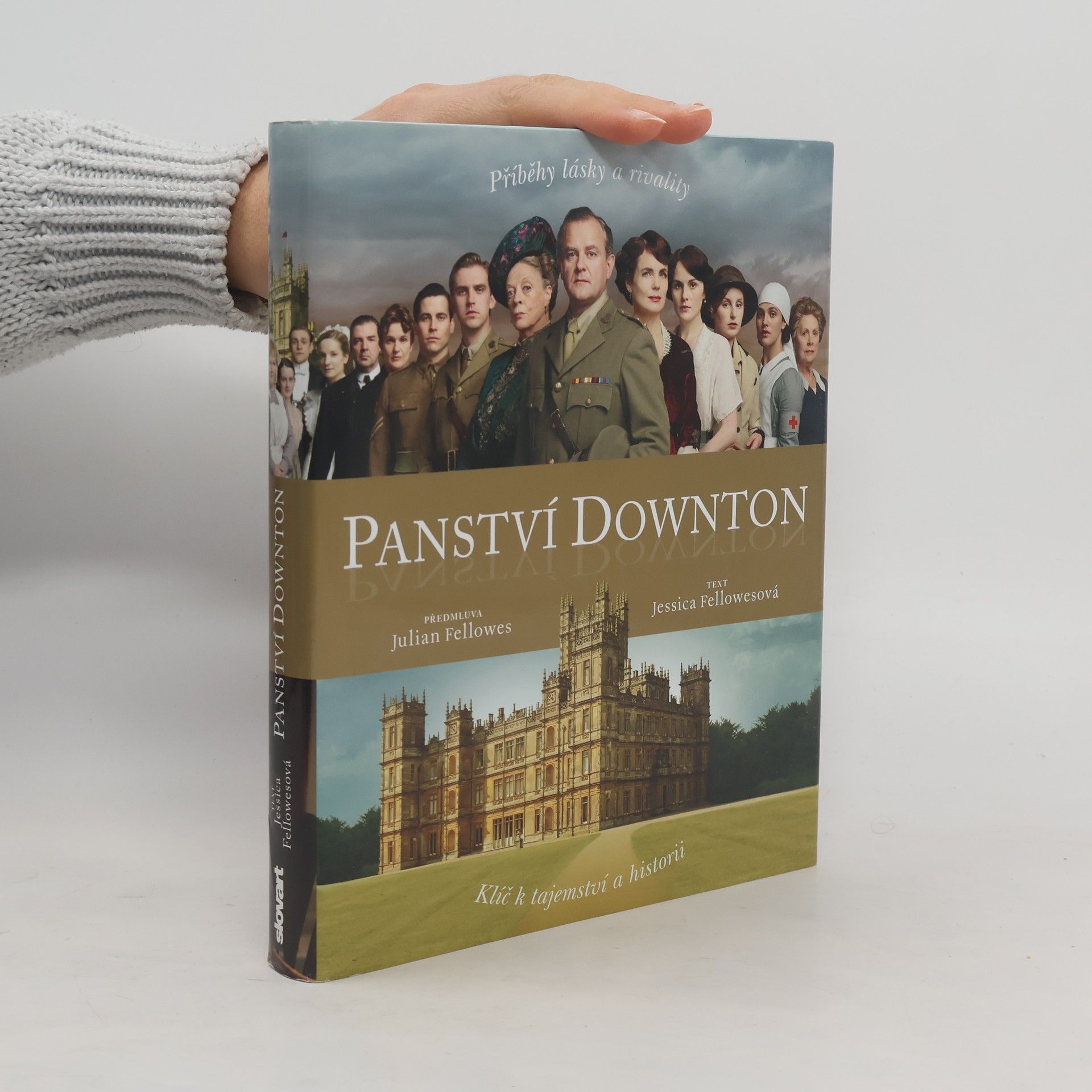 Panství Downton. Příběh lásky a rivality