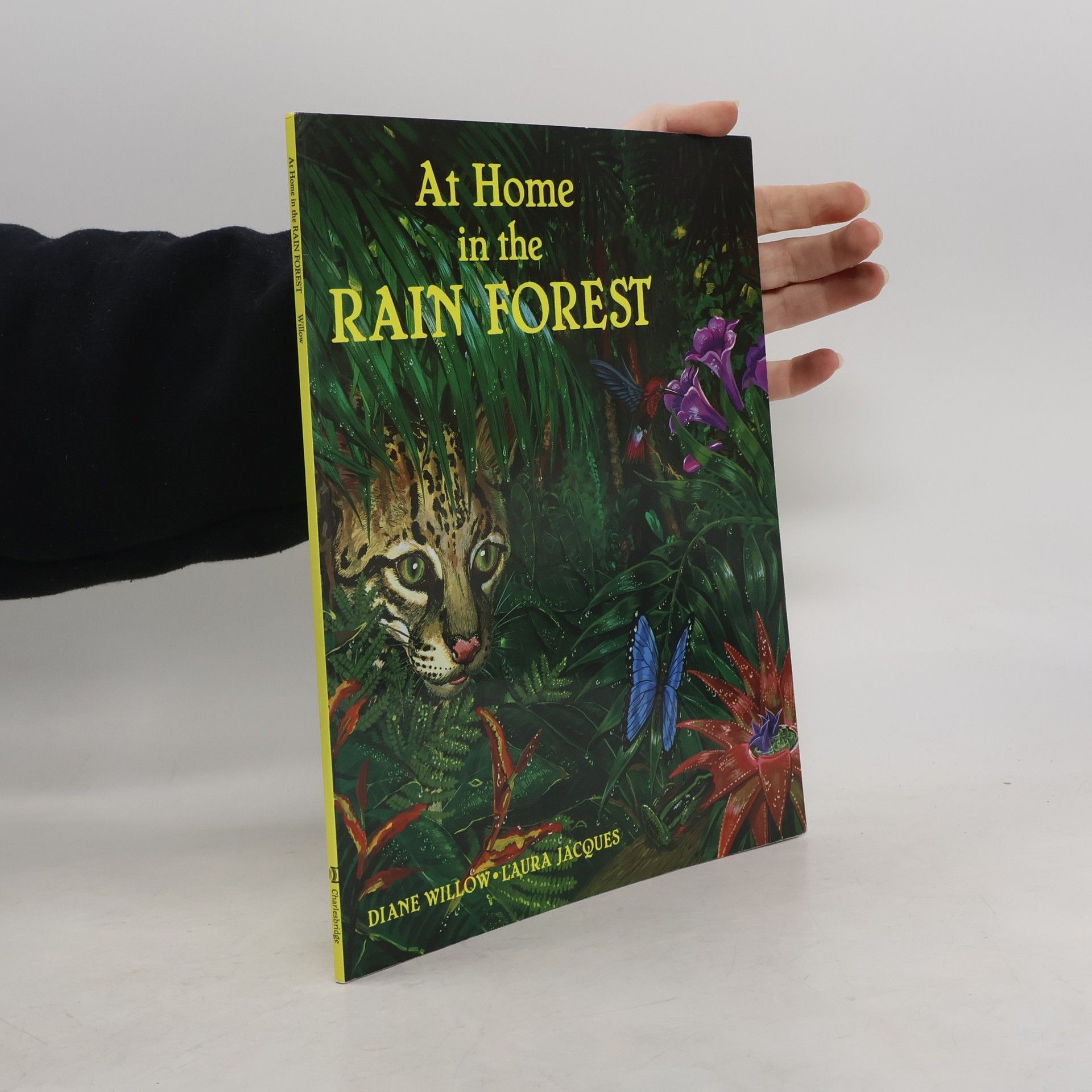 Diane Willow At Home in the Rain Forest