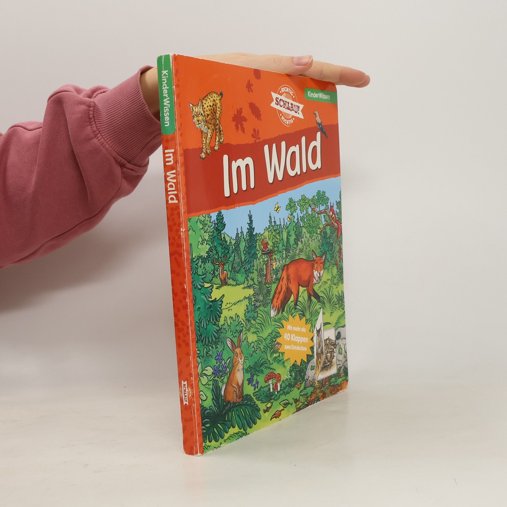 Autorenkollektiv Im Wald