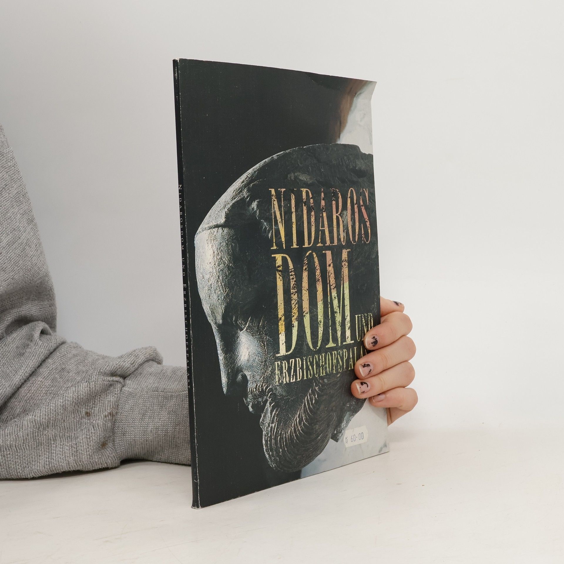 Nidaros-Dom und Erzbischofspalast