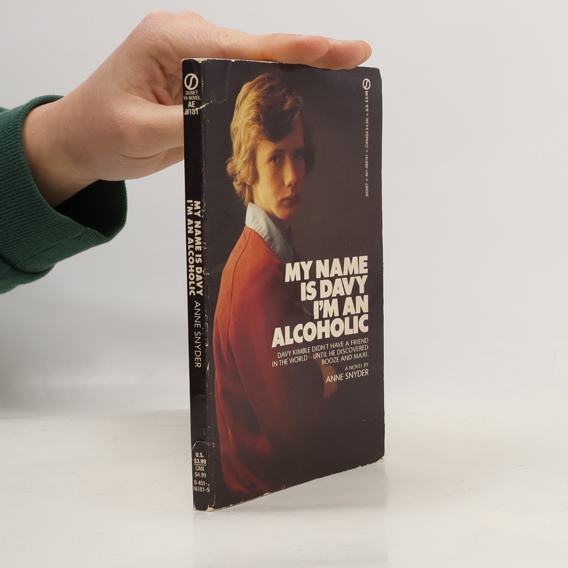 Anne Snyder My Name Is Davy, I'm an Alcoholic