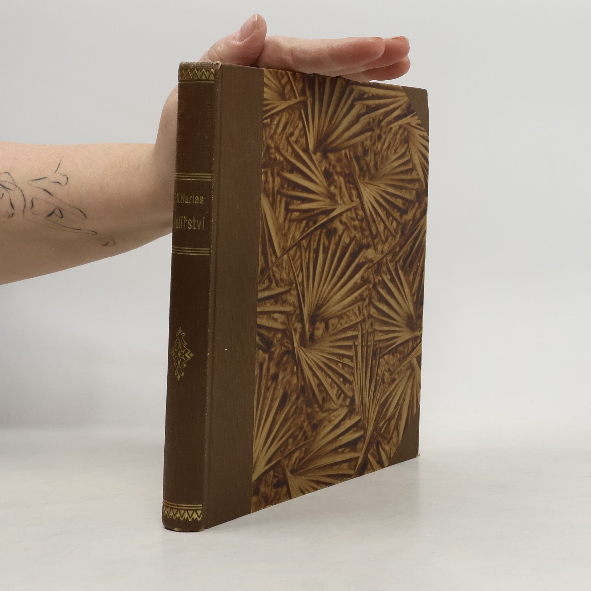 F.X. Harlas České umění. Malířství