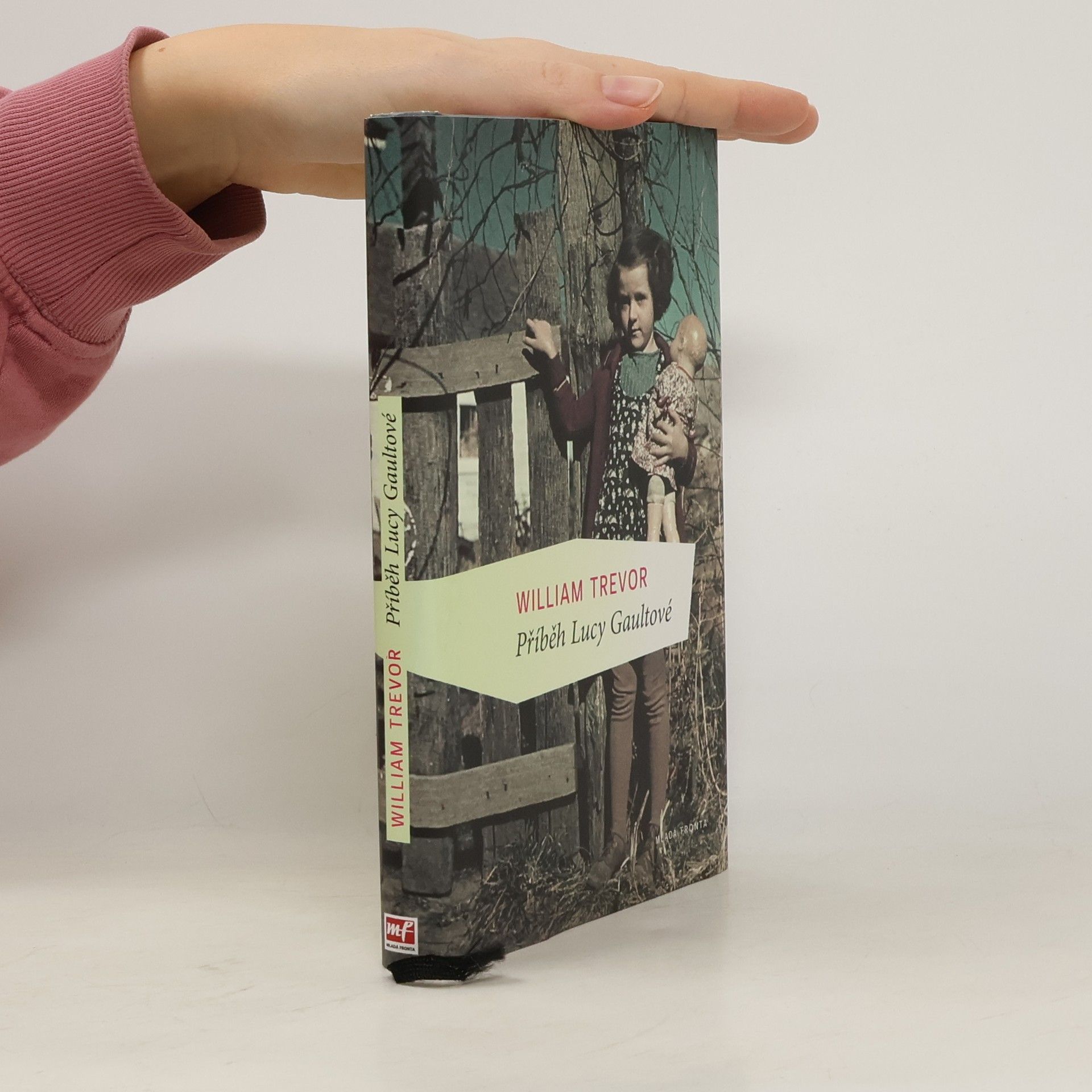 William Trevor Příběh Lucy Gaultové