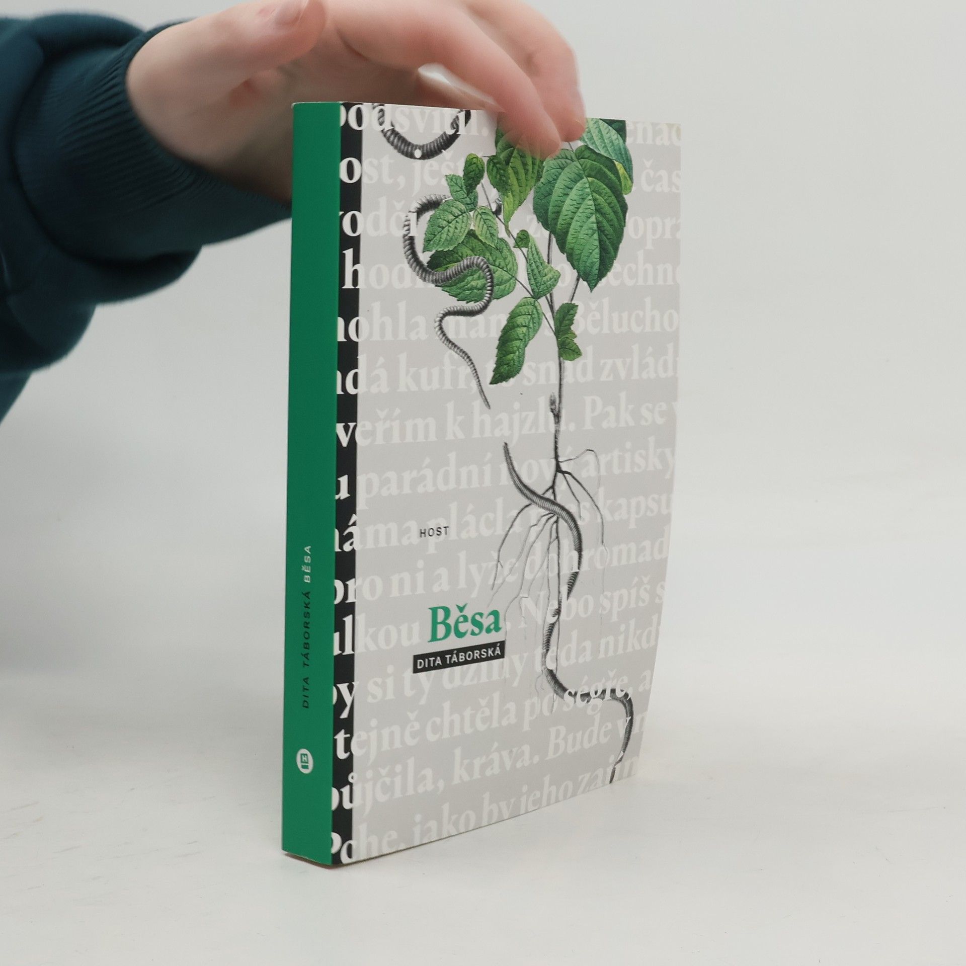 Dita Táborská Běsa