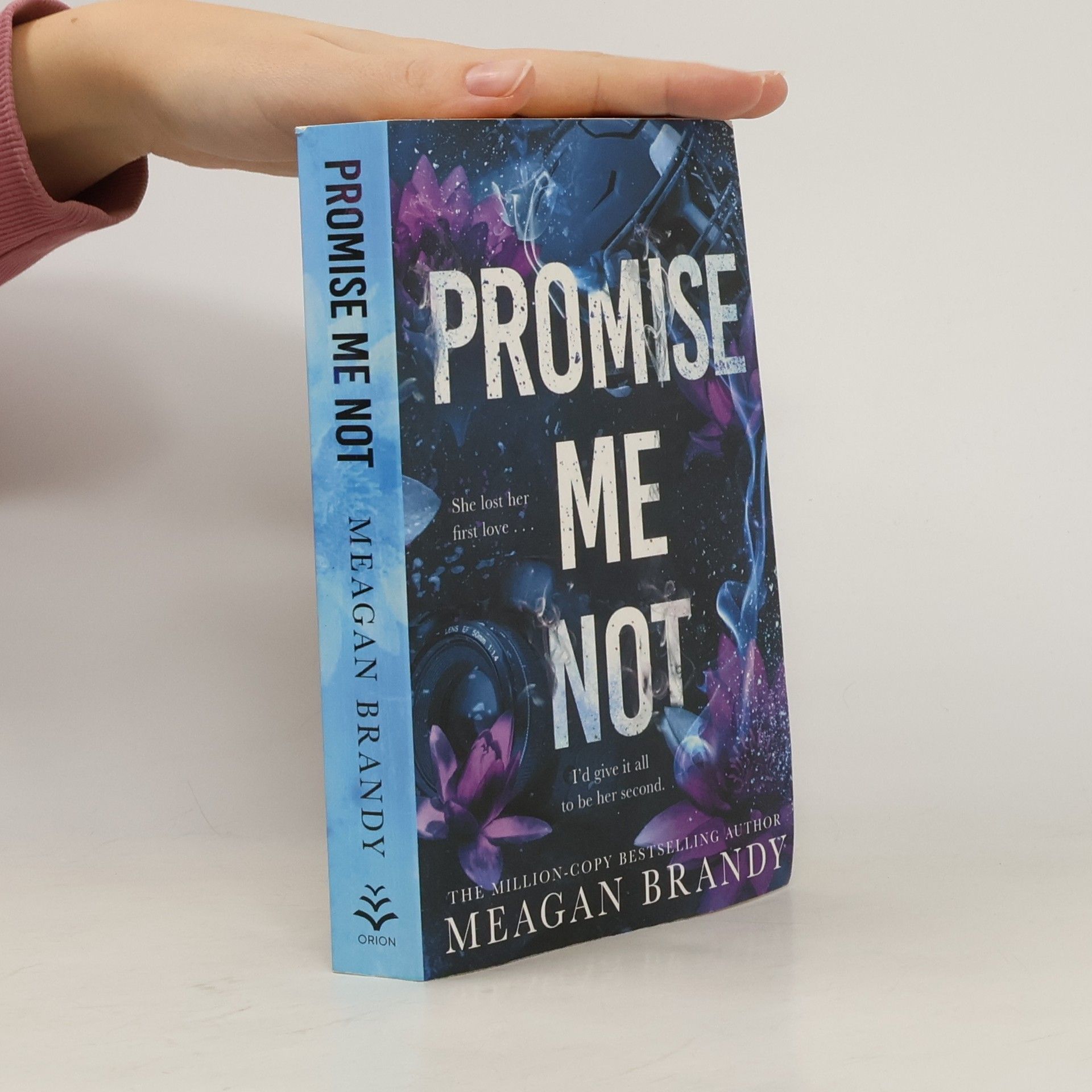 Meagan Brandy Promise Me Not
